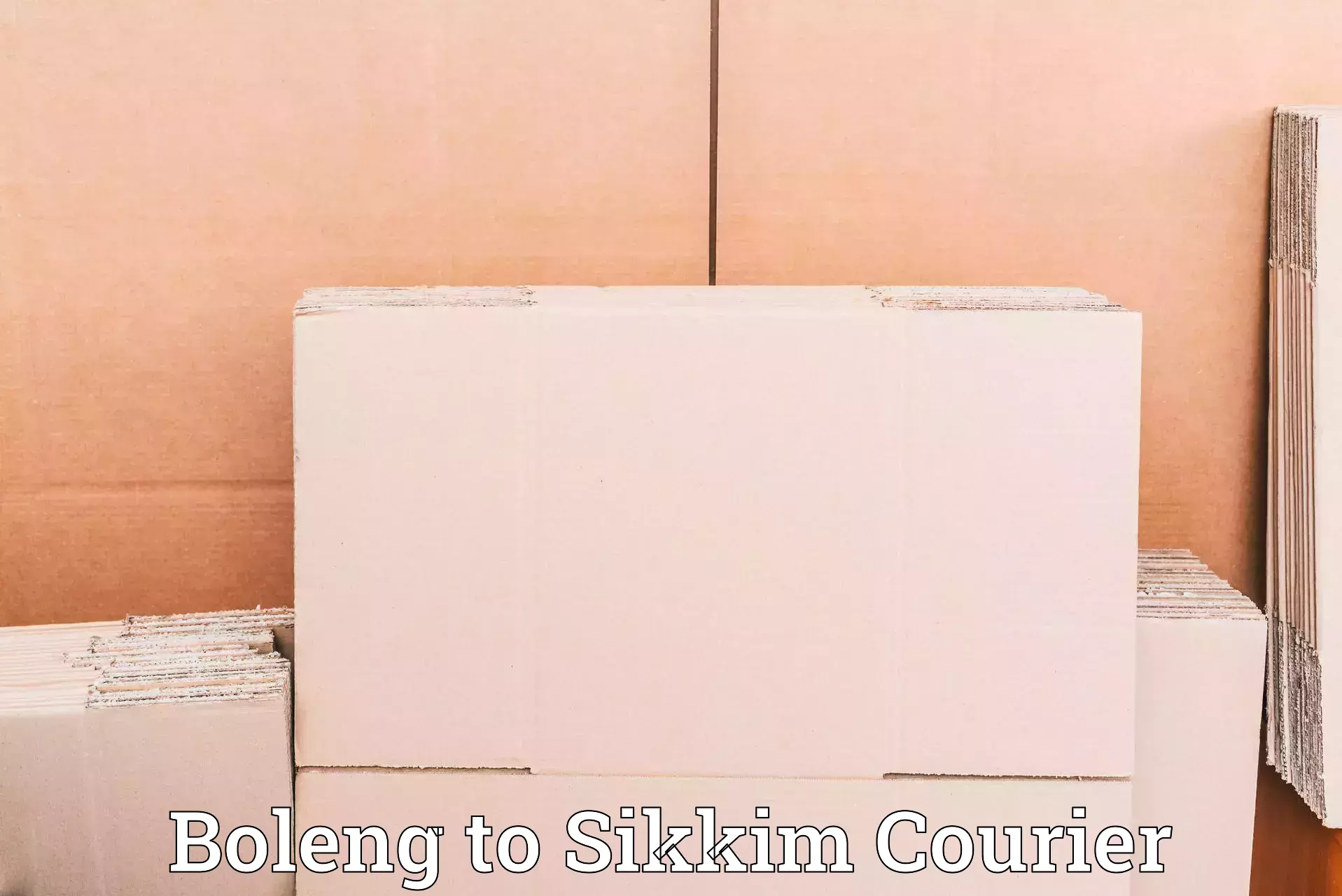 Courier service comparison Boleng to Sikkim