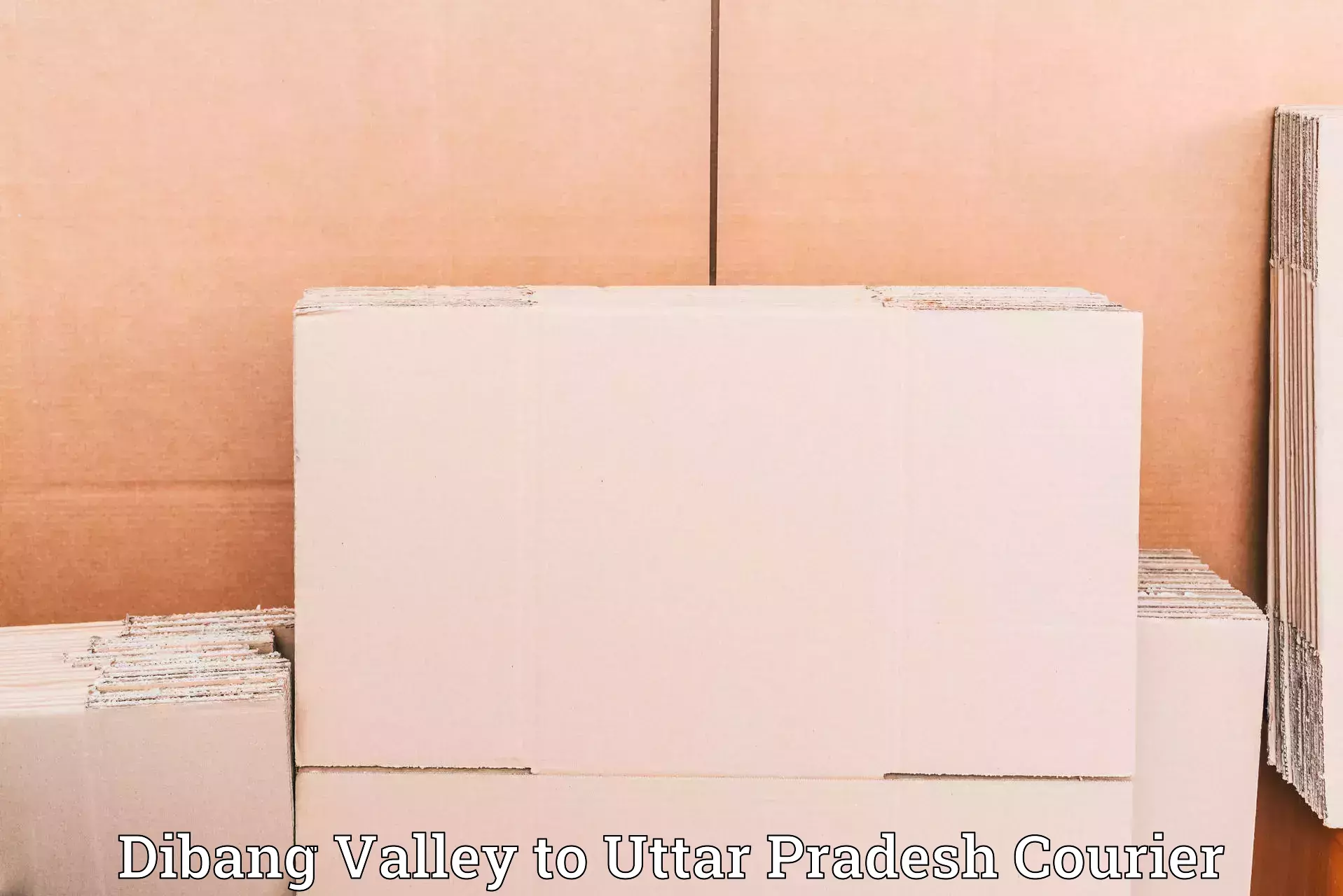 Reliable courier service Dibang Valley to Azamgarh