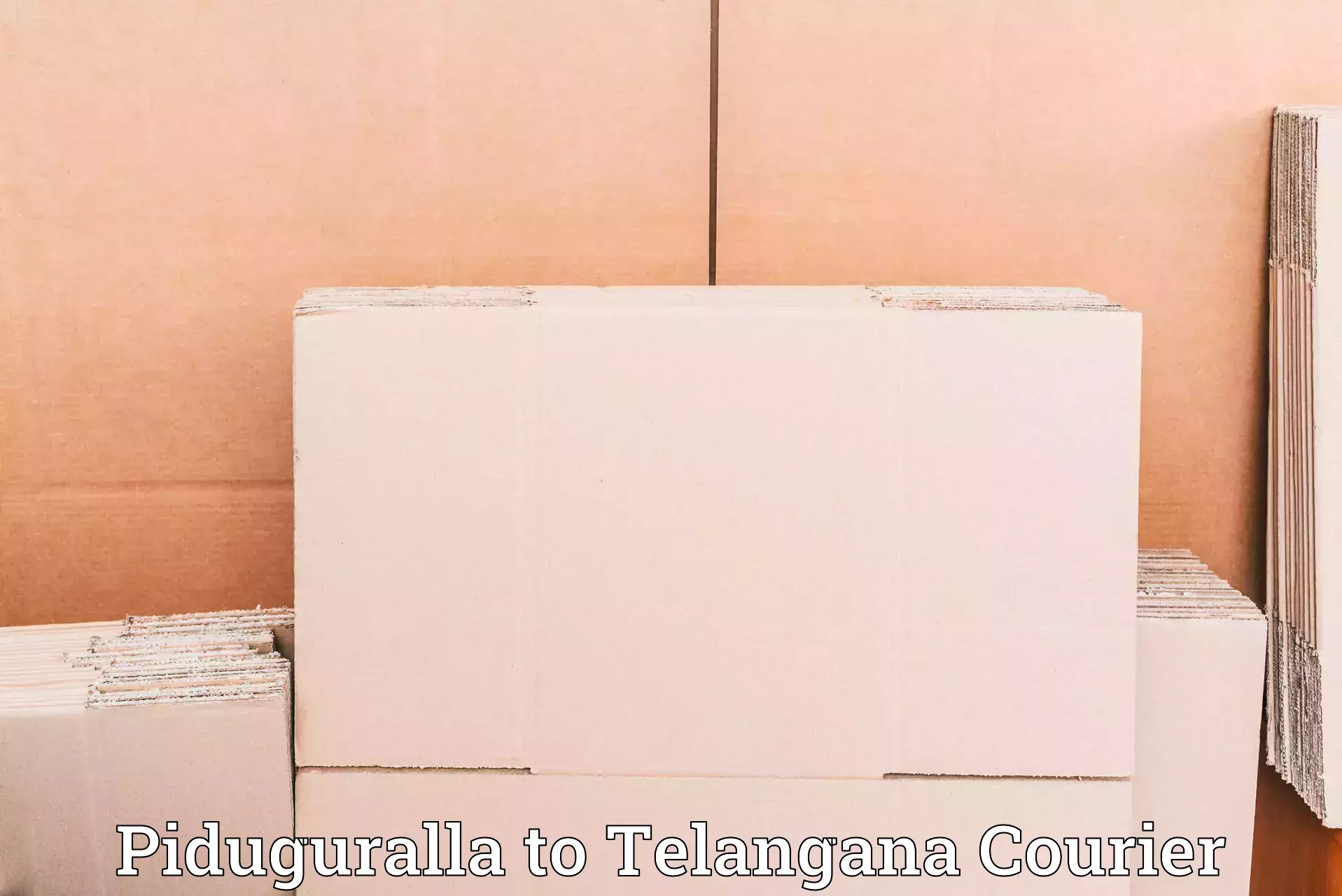 Integrated courier services Piduguralla to Mudigonda