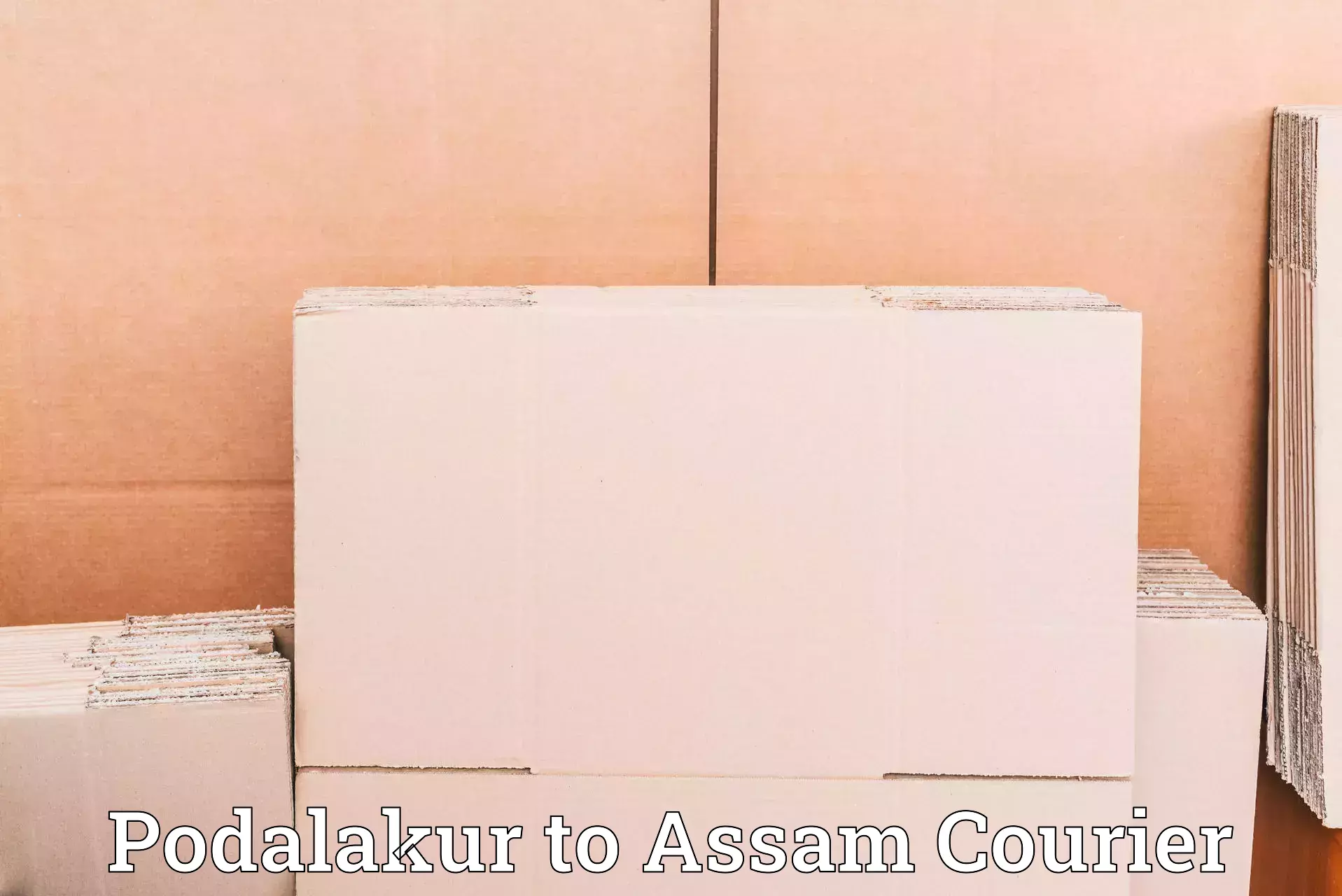 State-of-the-art courier technology Podalakur to Assam