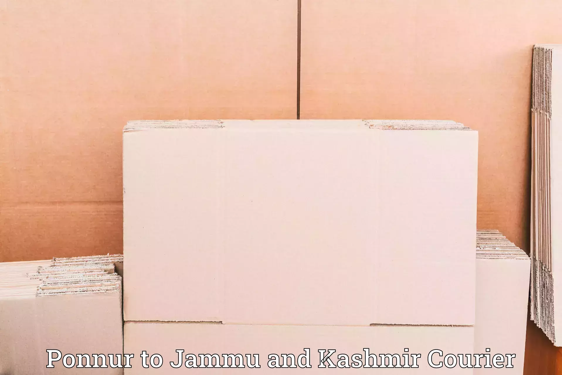 Next-day delivery options Ponnur to Jammu and Kashmir