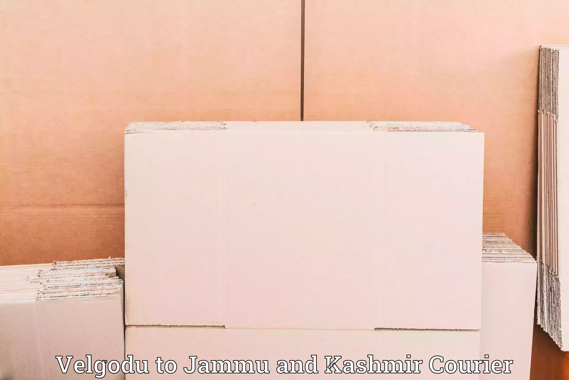 Domestic courier in Velgodu to University of Kashmir Srinagar