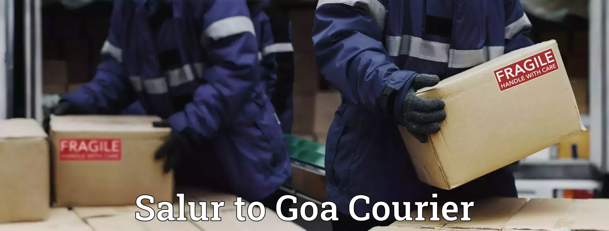 Courier dispatch services Salur to NIT Goa