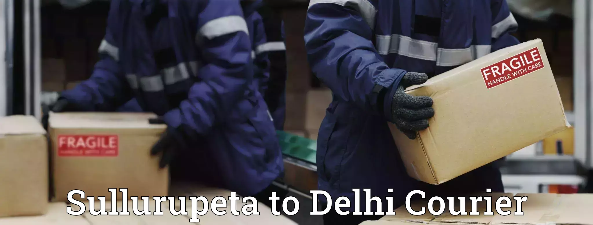 Comprehensive shipping strategies Sullurupeta to Delhi
