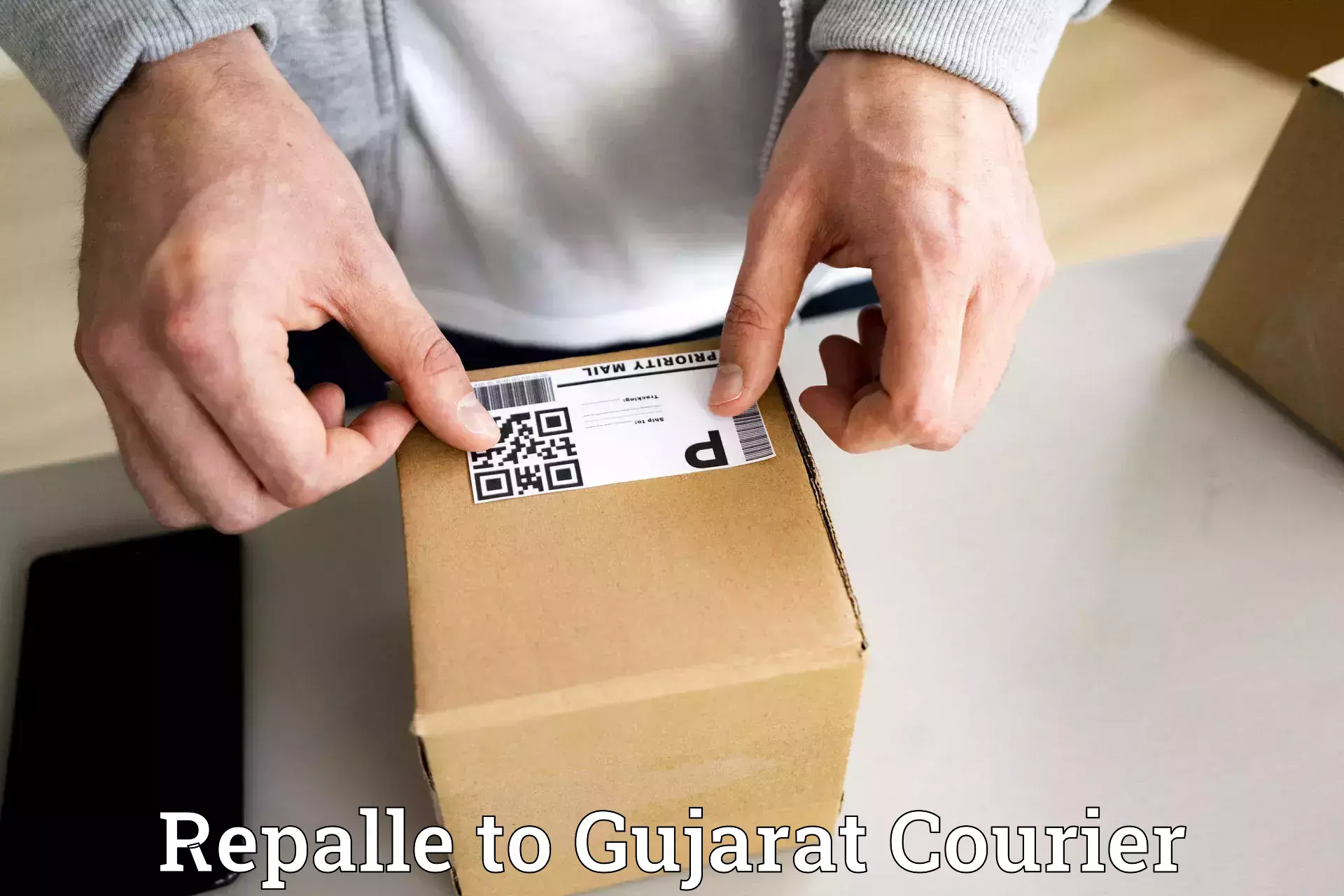 Courier service partnerships Repalle to Gandhinagar