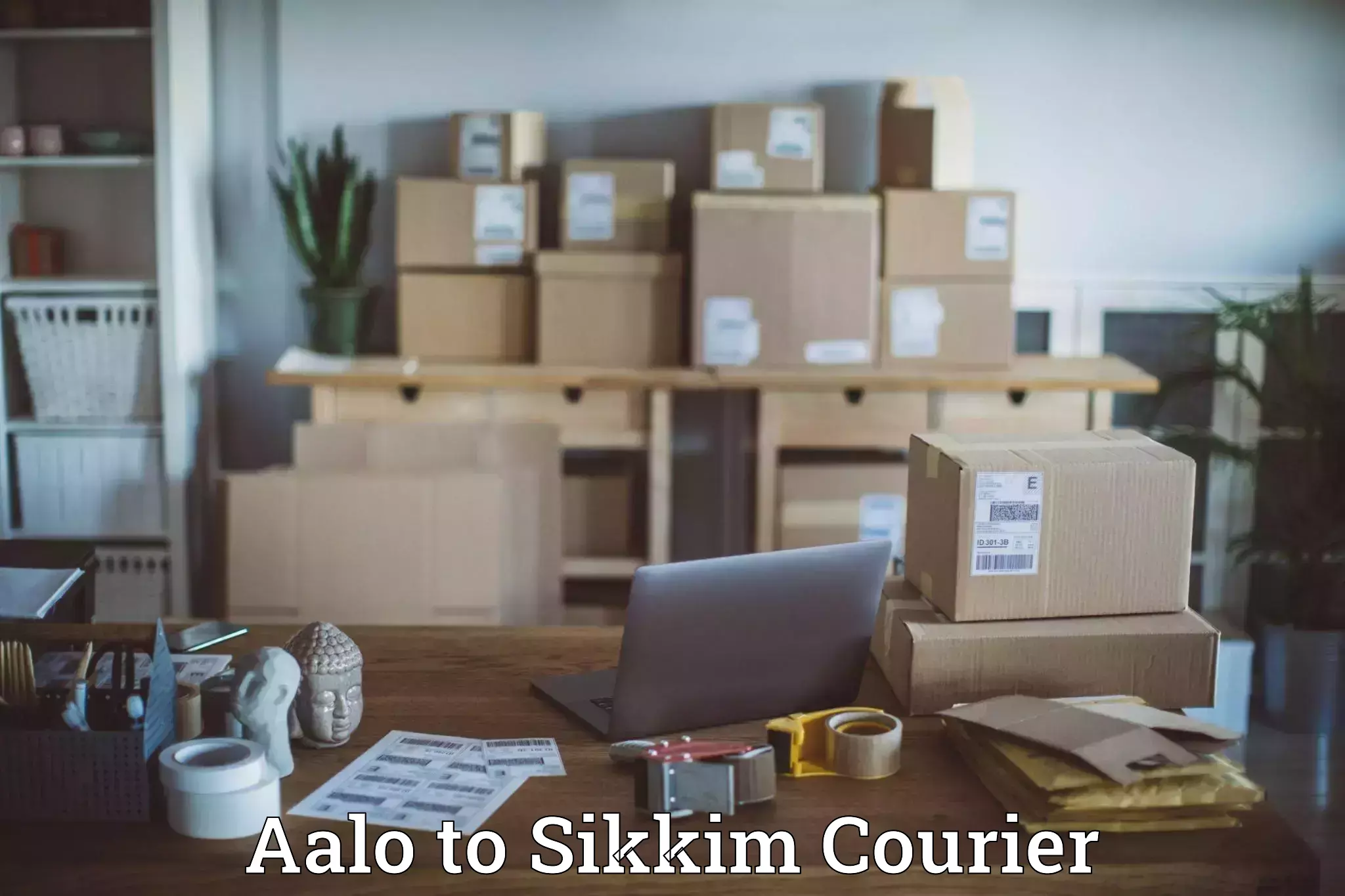 Express package handling Aalo to Sikkim