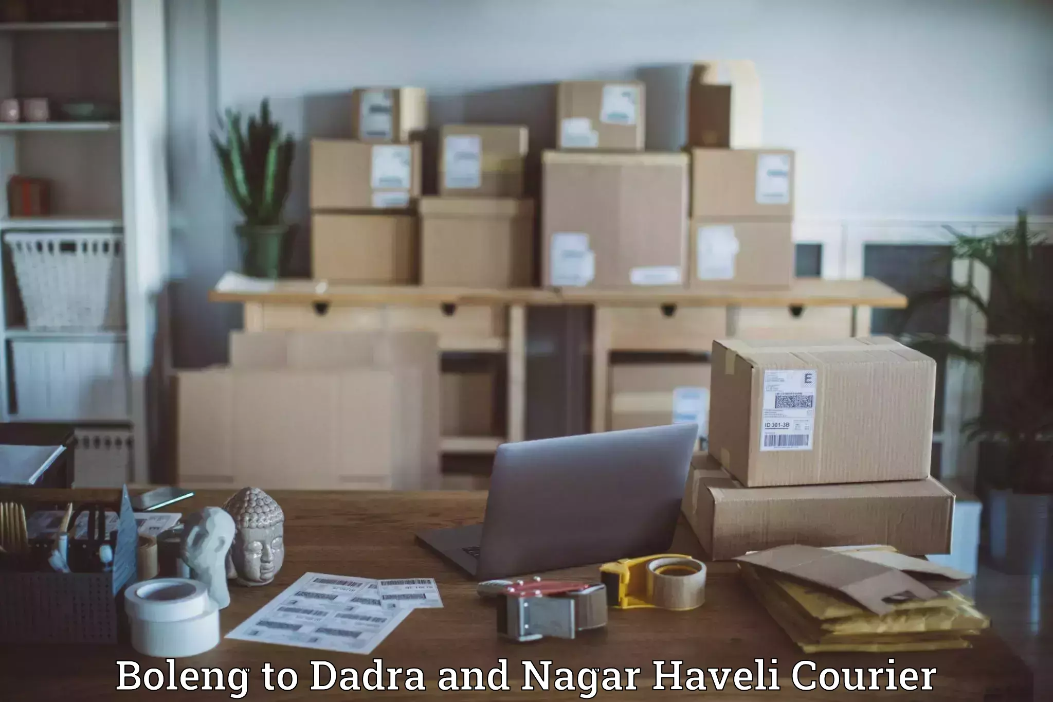 Lightweight parcel options Boleng to Dadra and Nagar Haveli