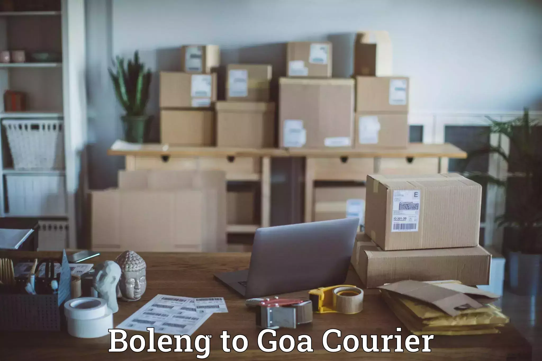 Efficient parcel delivery Boleng to South Goa