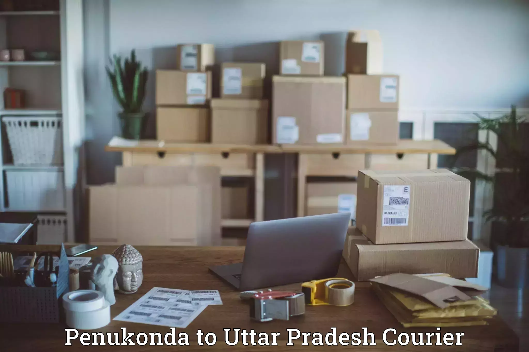 Full-service courier options Penukonda to Auraiya