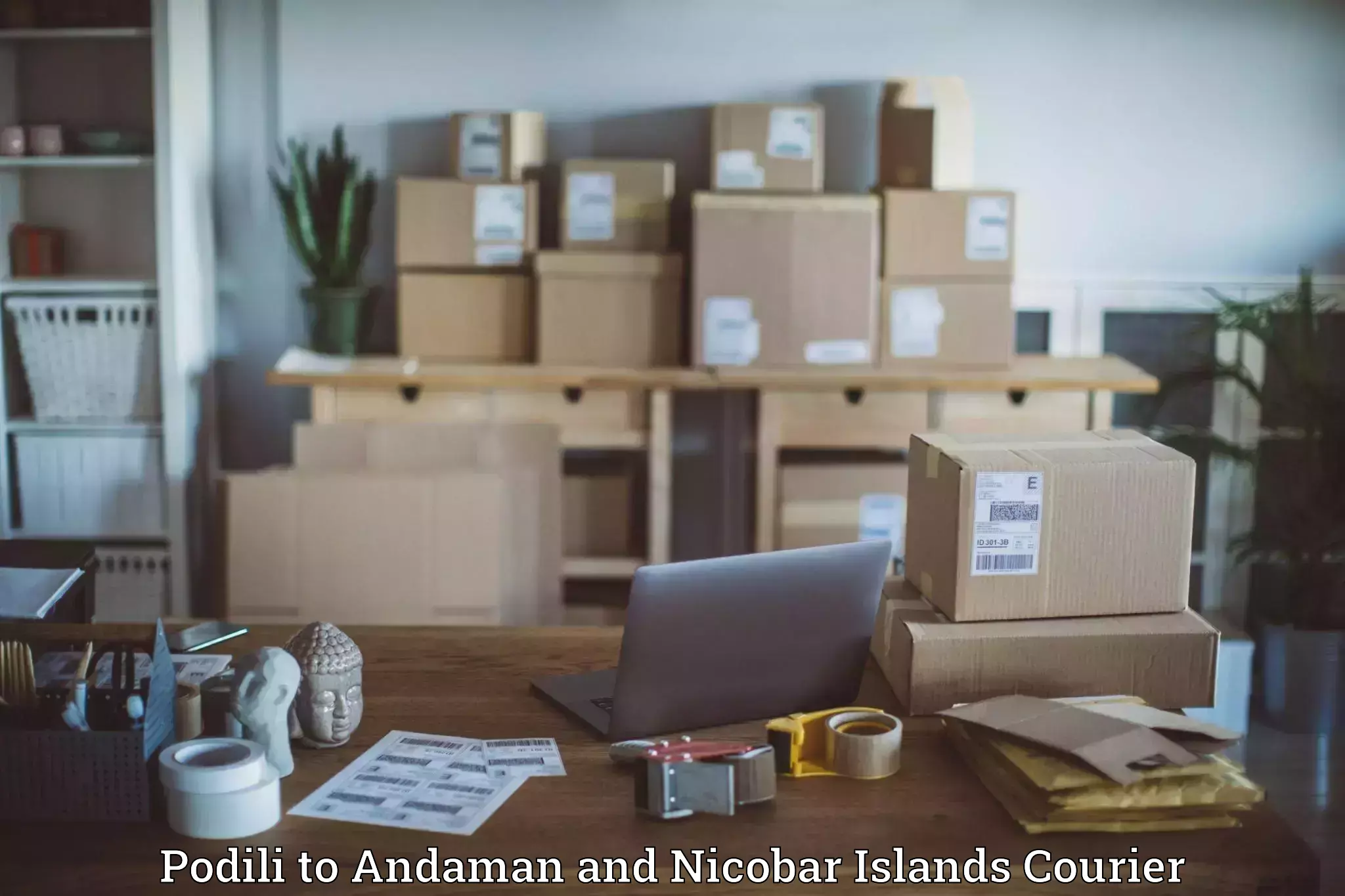 Parcel service for businesses Podili to Andaman and Nicobar Islands