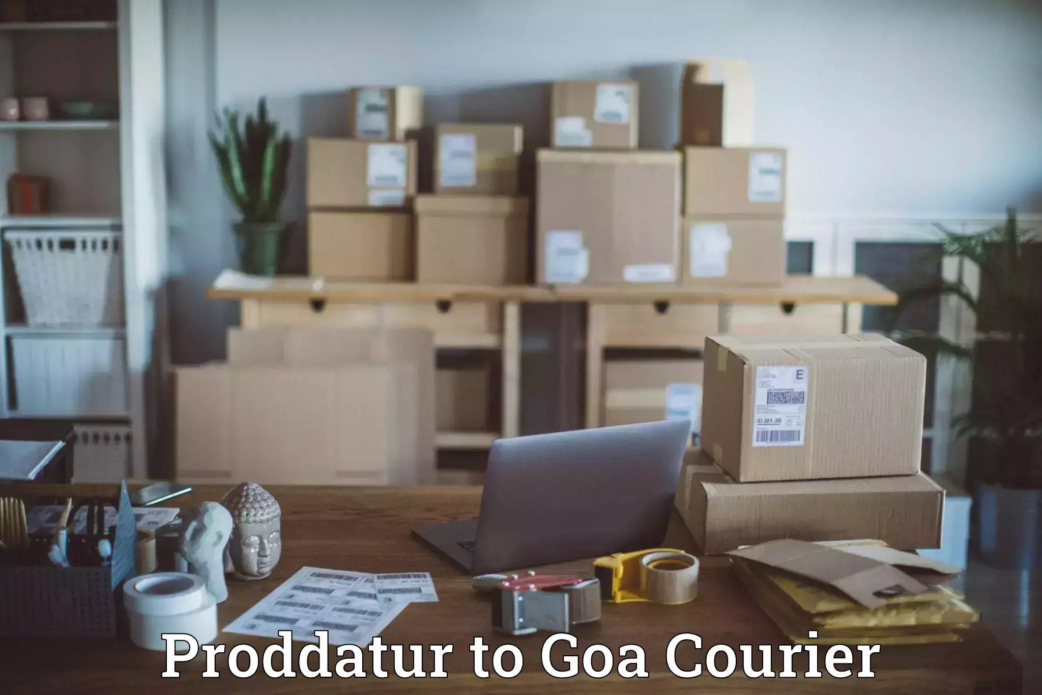 Courier tracking online Proddatur to Sanvordem