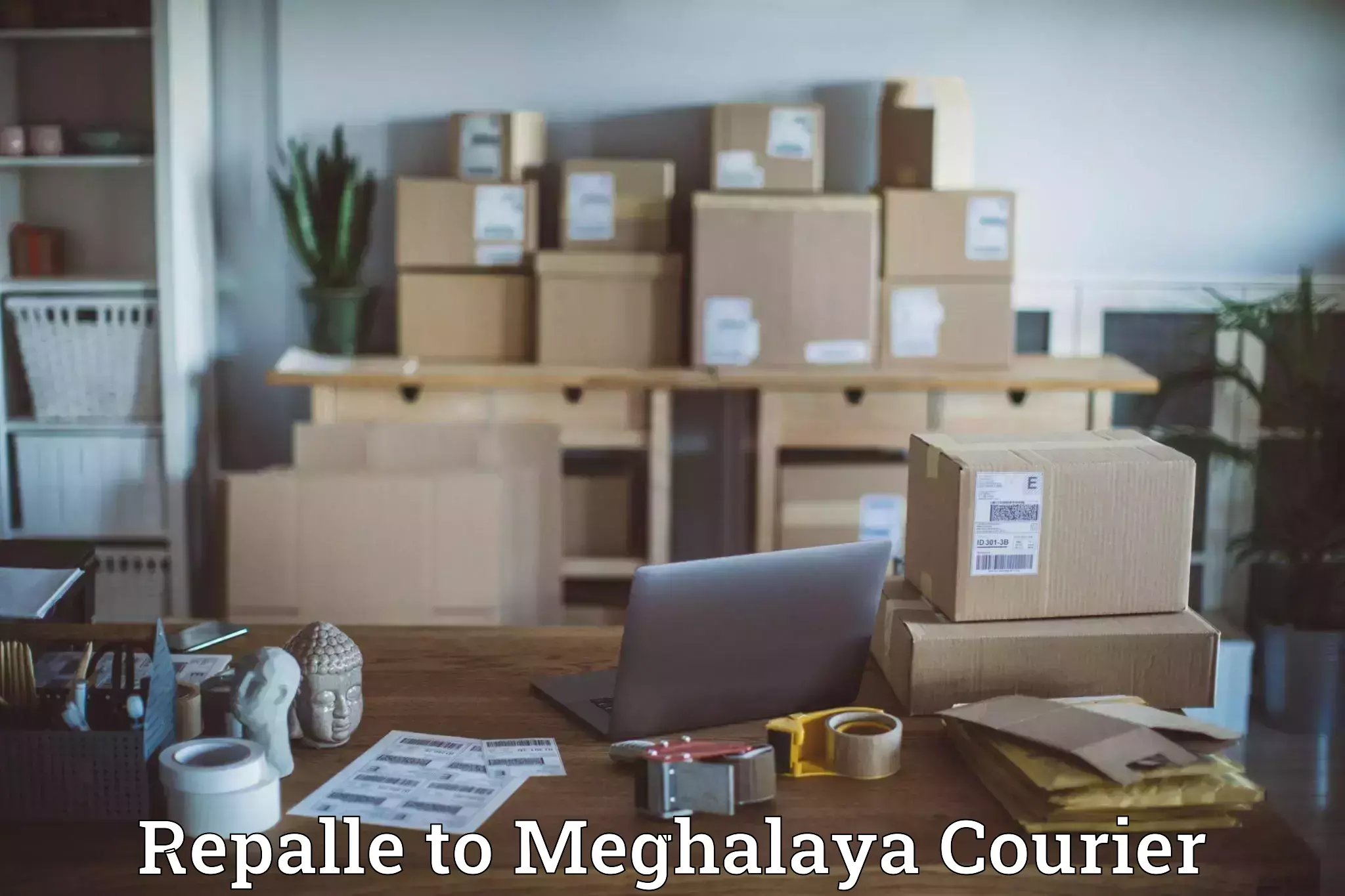 Large package courier Repalle to Meghalaya