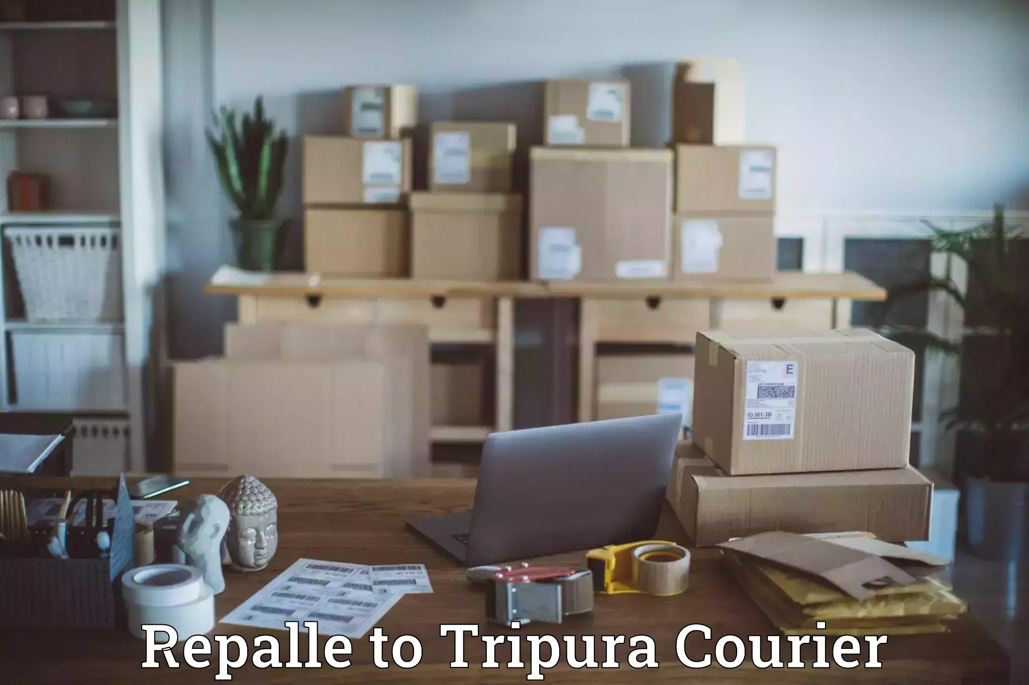 Local courier options Repalle to Udaipur Tripura