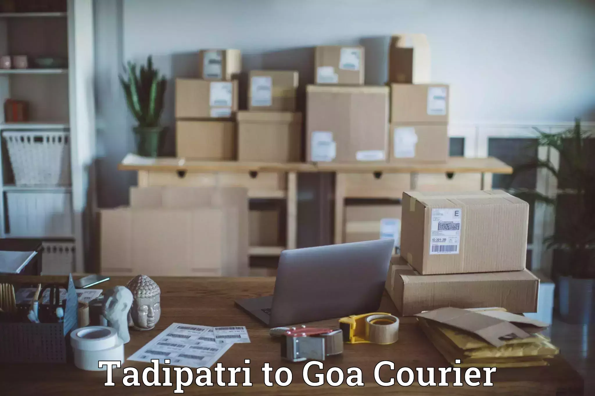 Professional courier services Tadipatri to Bicholim