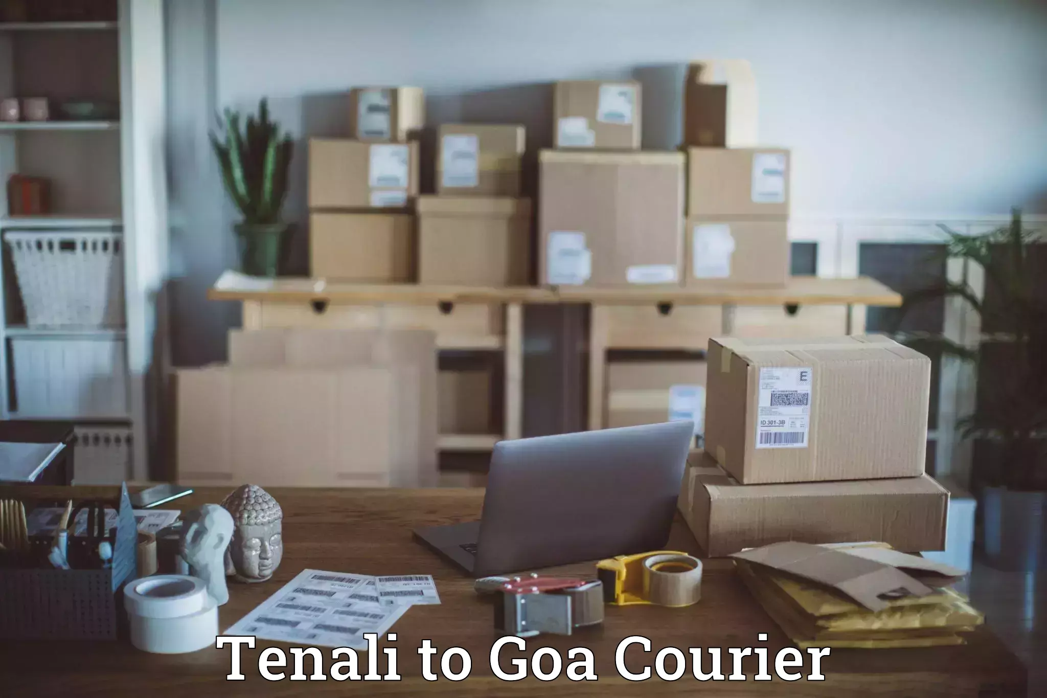 Easy access courier services Tenali to Goa University