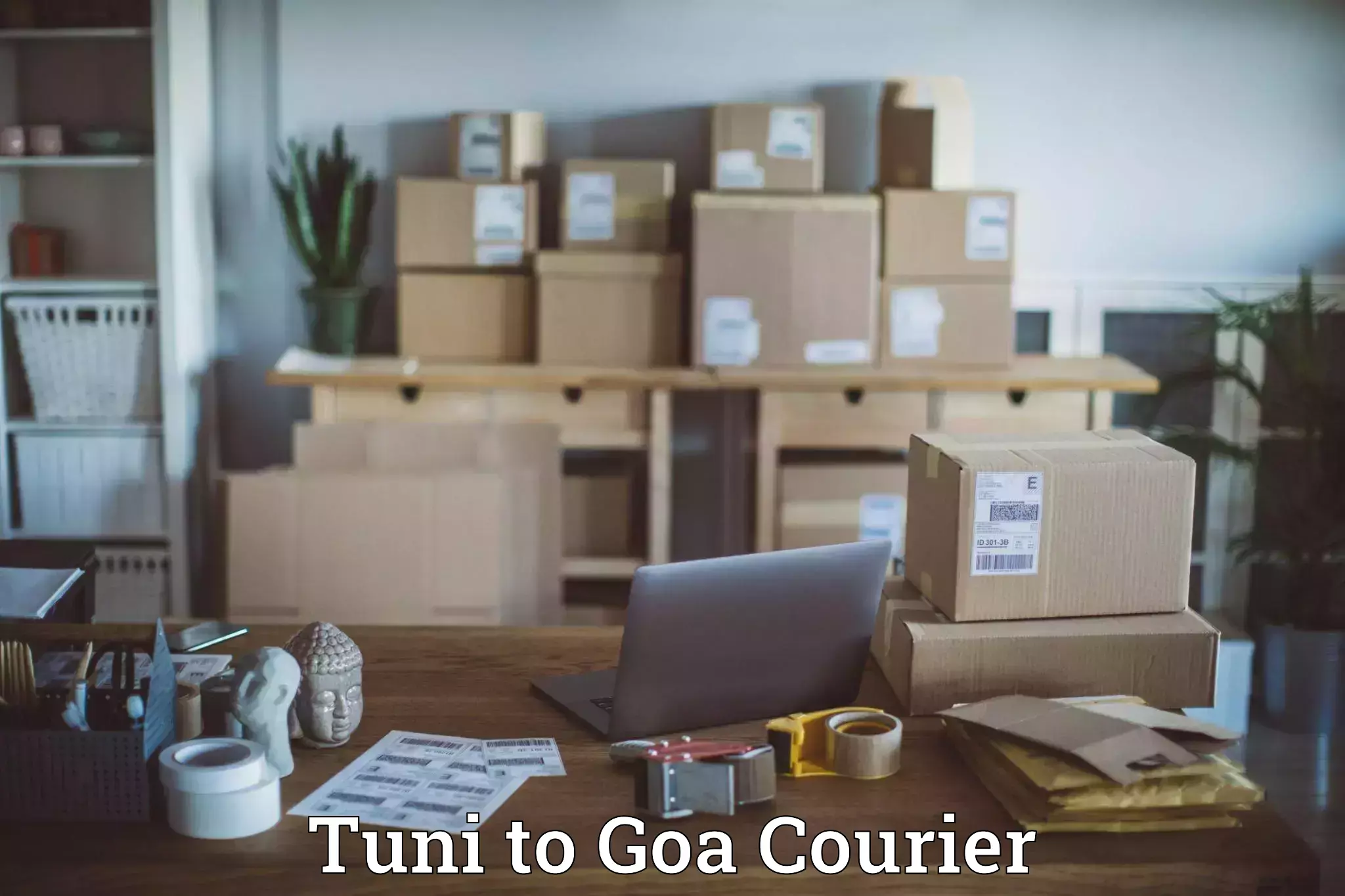Lightweight parcel options Tuni to Goa