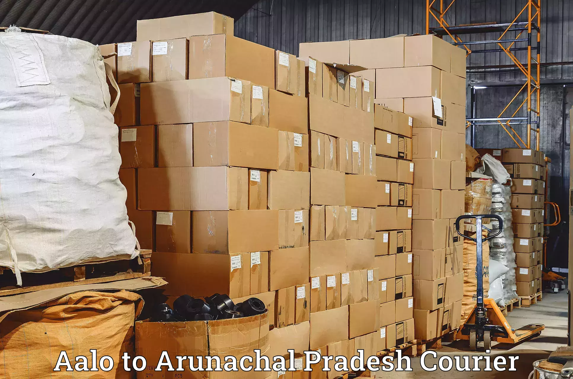 Round-the-clock parcel delivery Aalo to Ziro