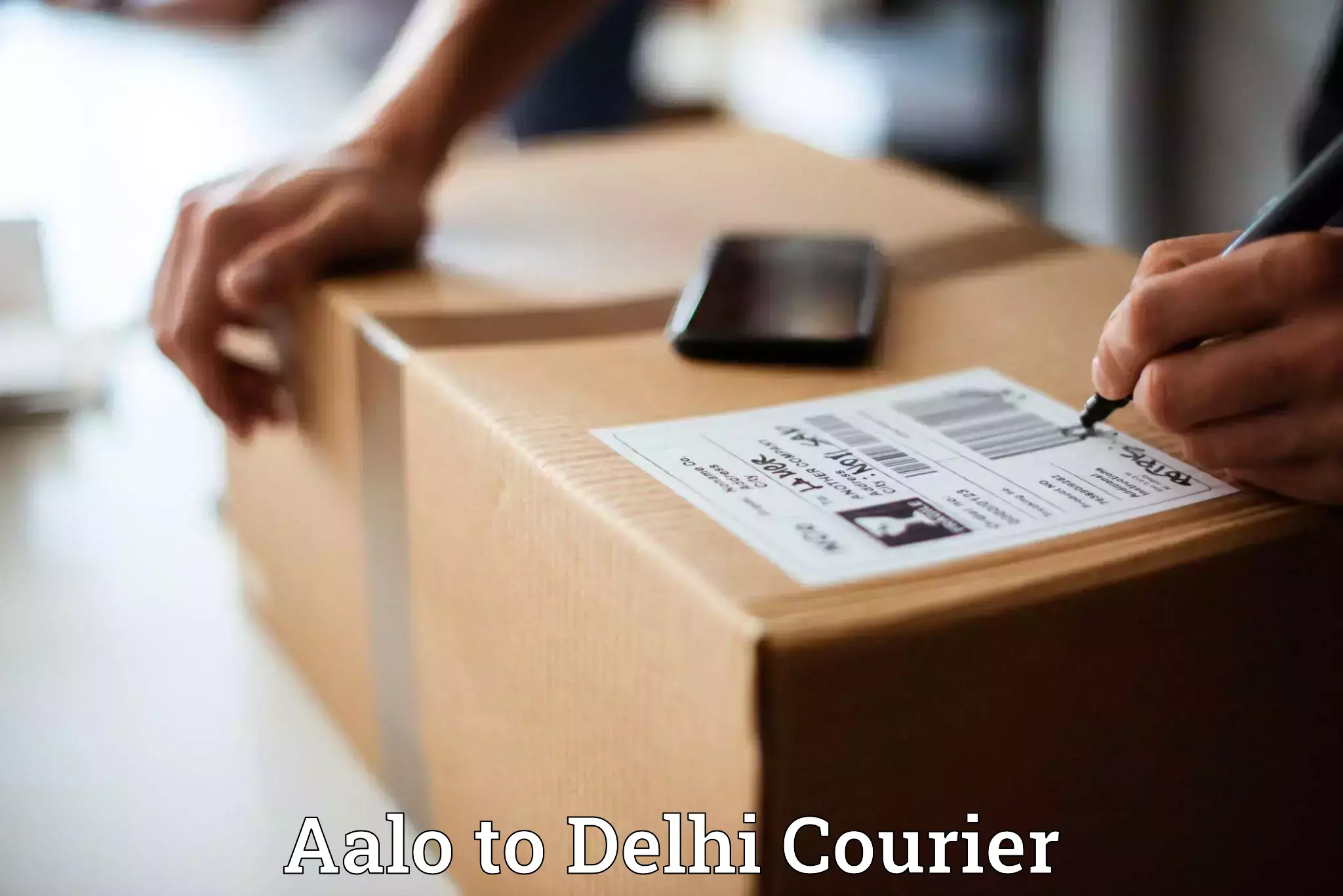 Efficient parcel delivery Aalo to Delhi
