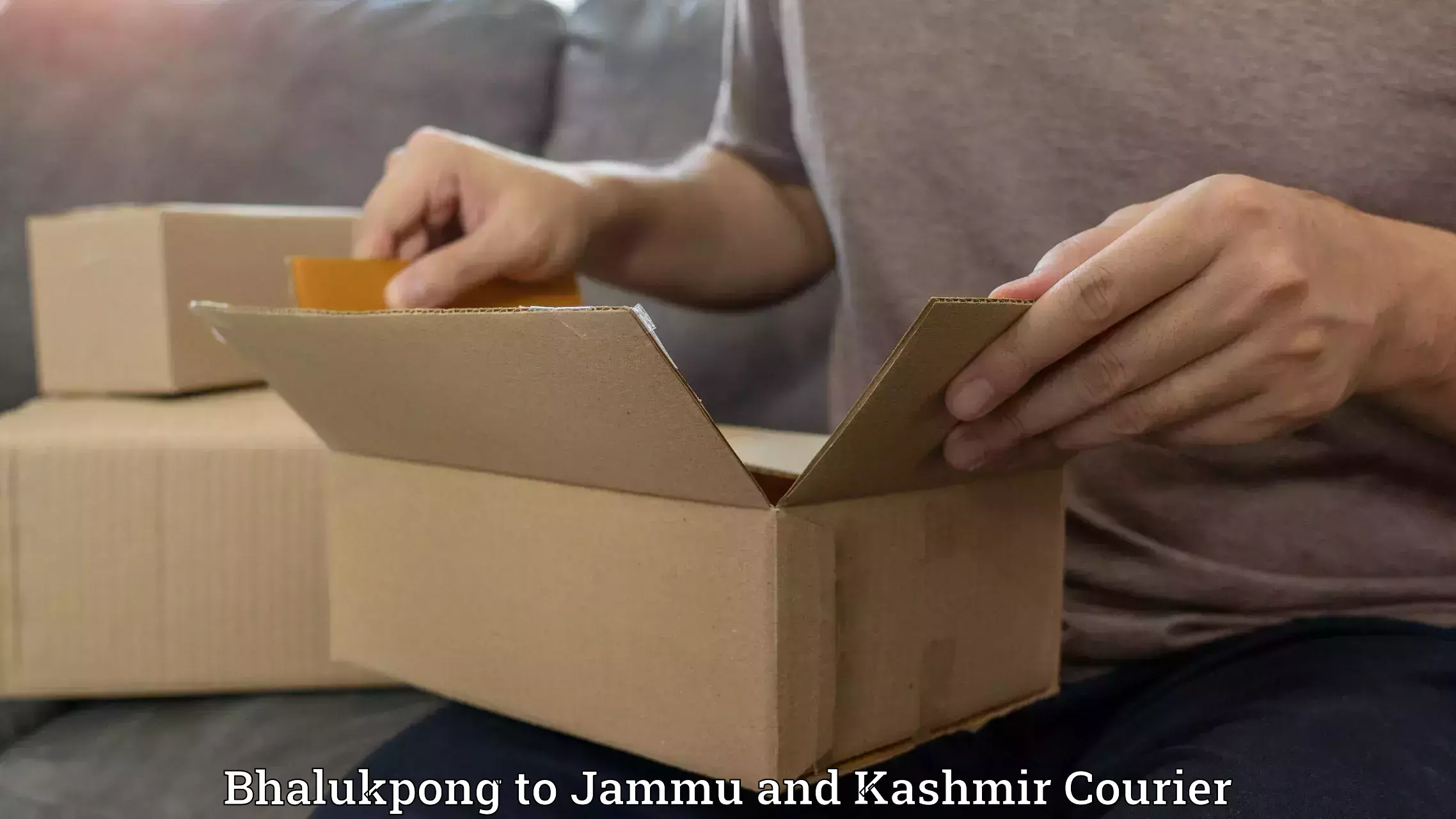 Local courier options Bhalukpong to IIT Jammu