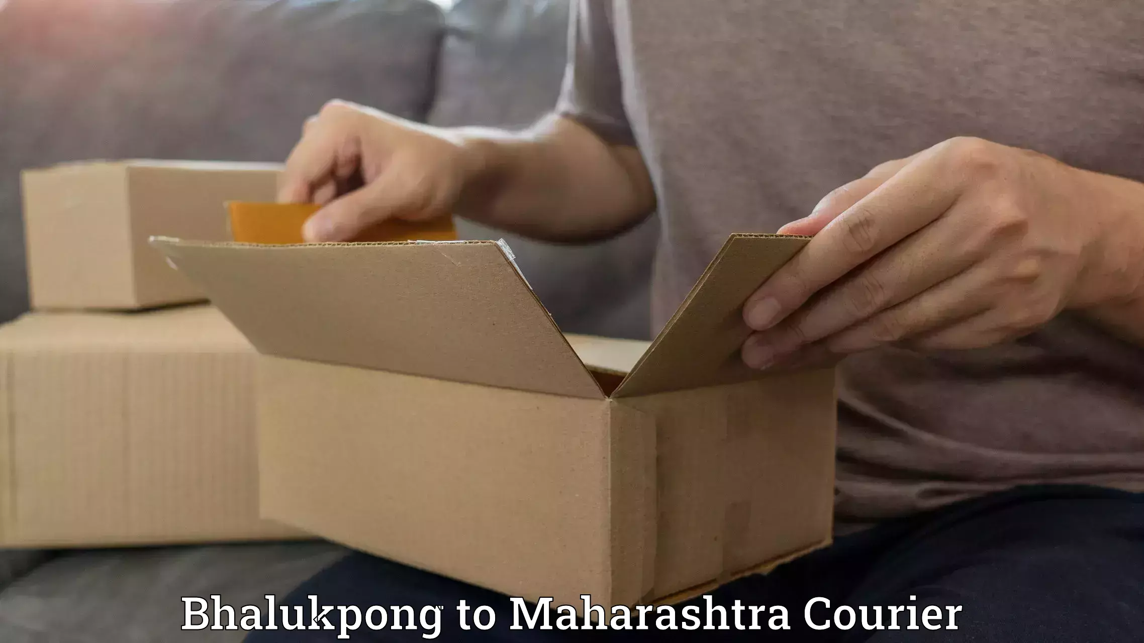 Business courier solutions Bhalukpong to DY Patil Vidyapeeth Pune