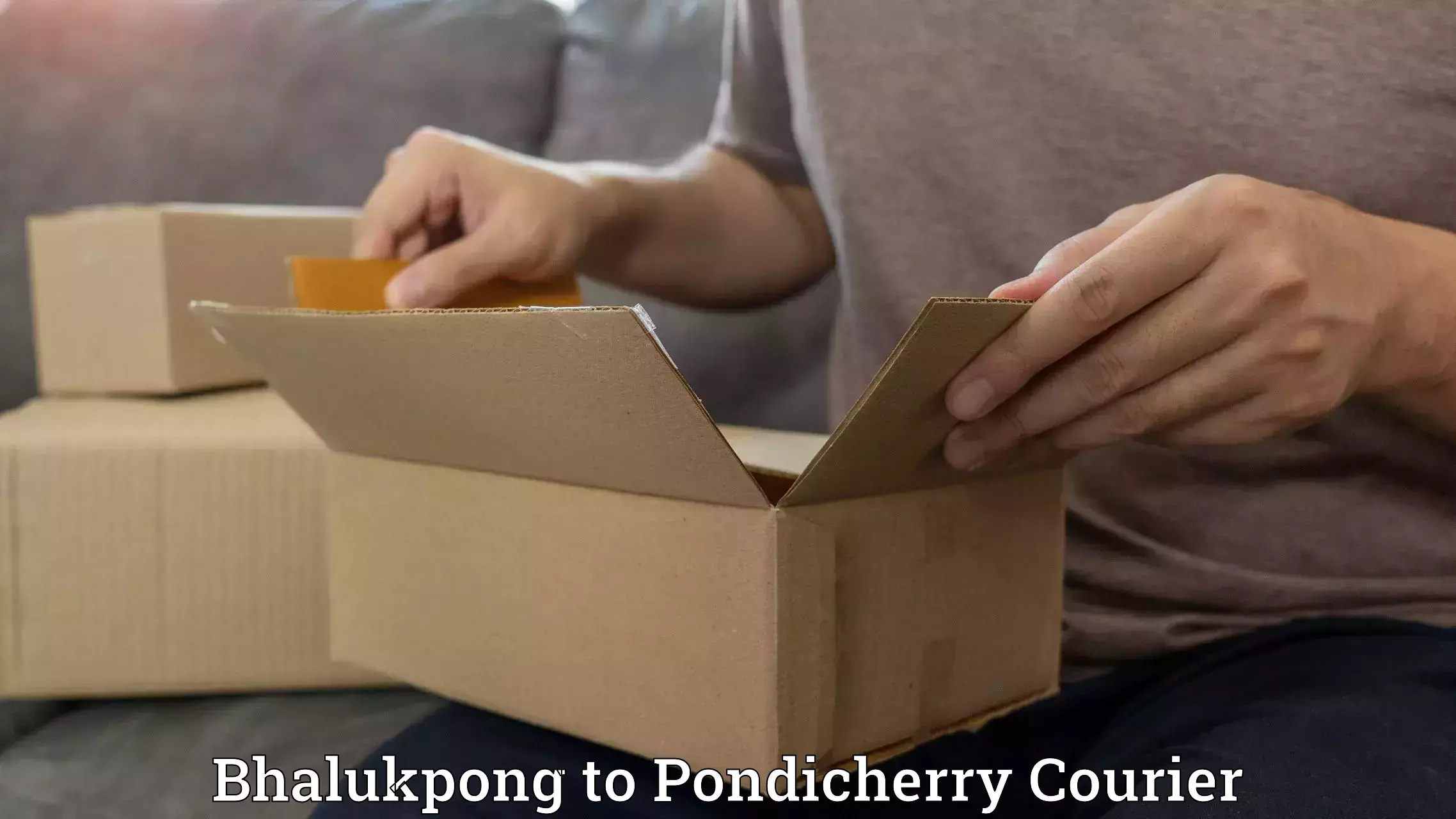Full-service courier options Bhalukpong to Pondicherry