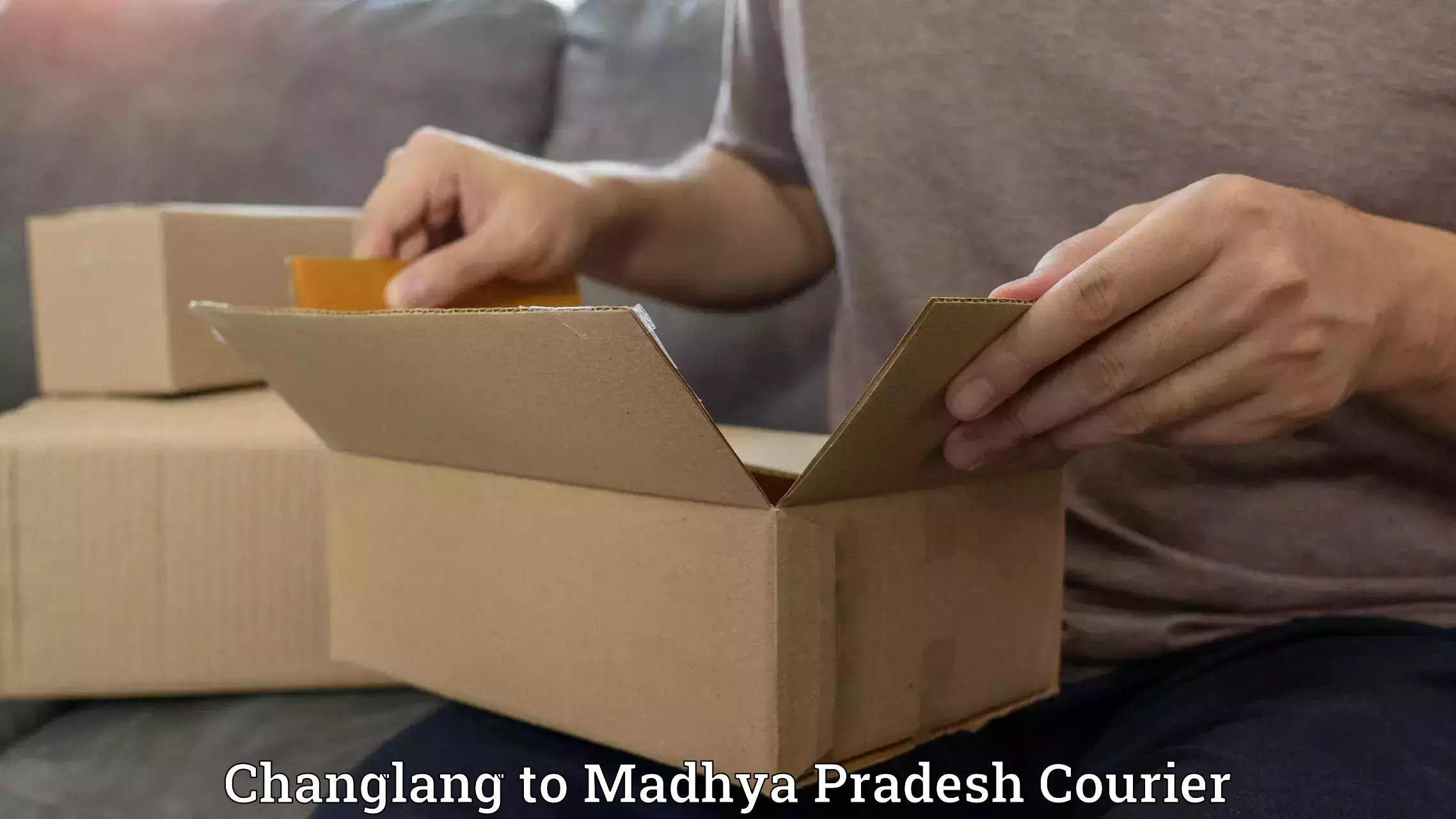 Versatile courier offerings Changlang to Narsinghgarh