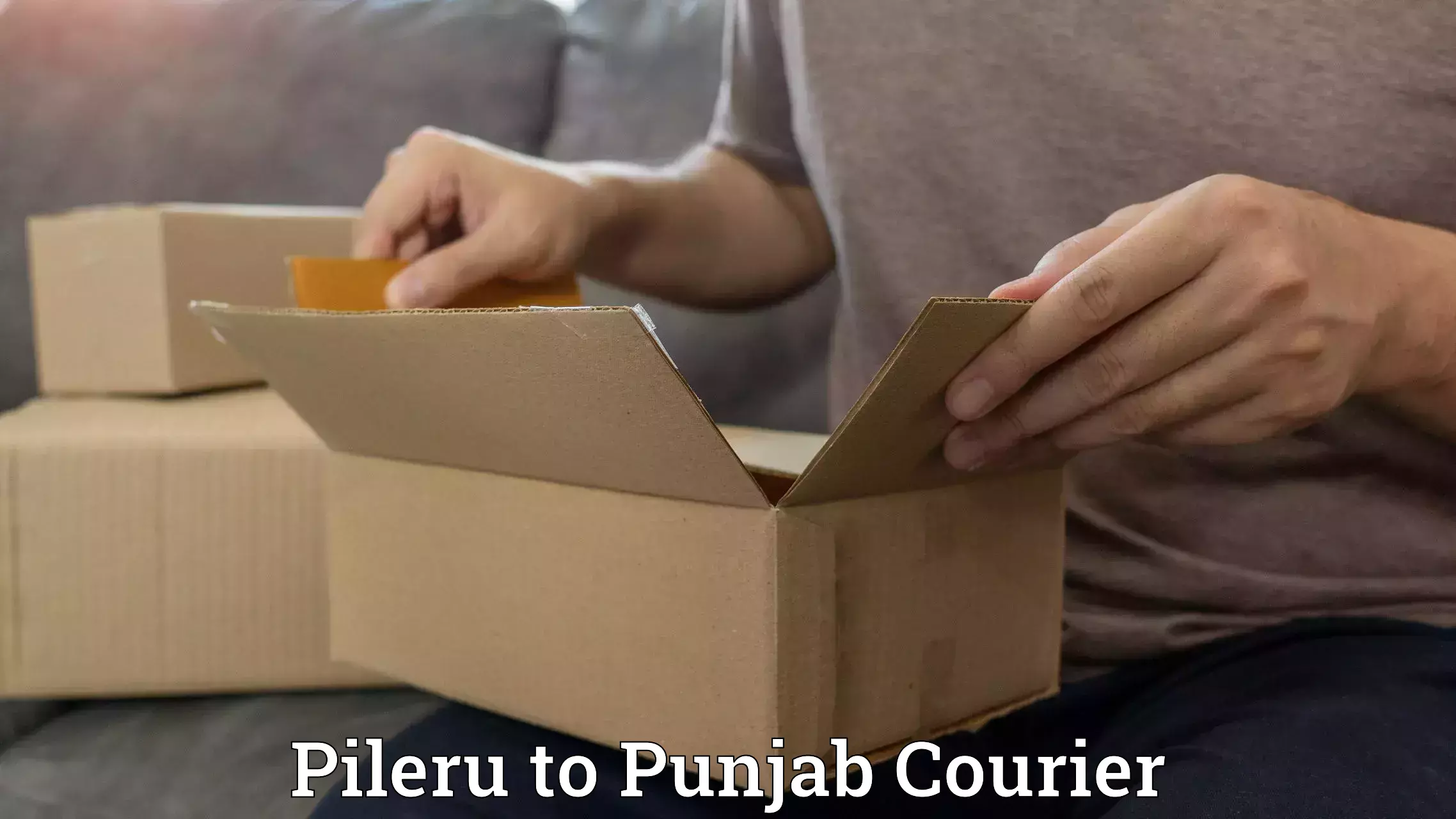 Courier dispatch services Pileru to Kapurthala