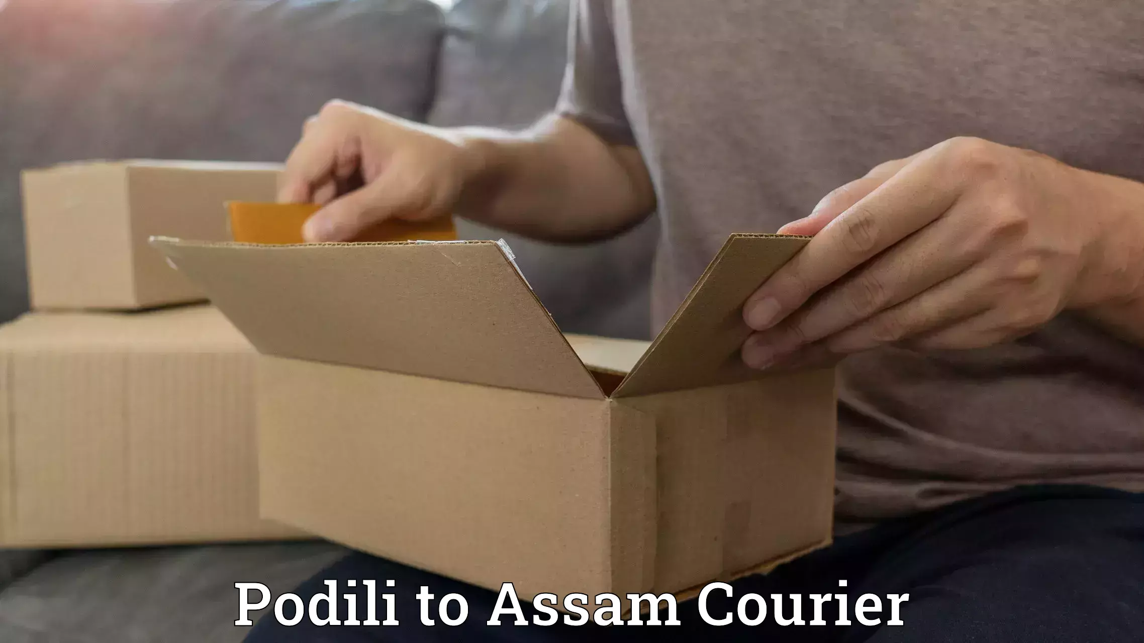 Courier dispatch services in Podili to Mirza Kamrup