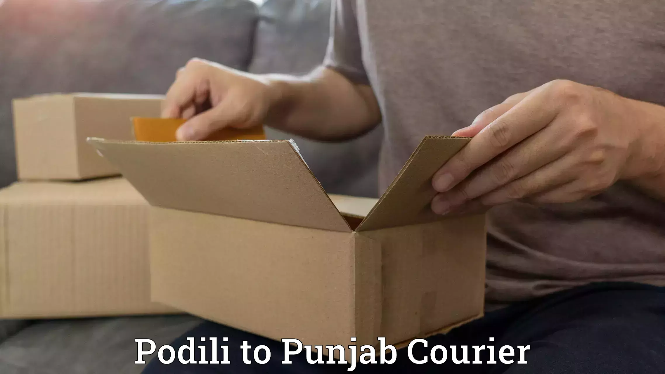 Wholesale parcel delivery Podili to Rajpura