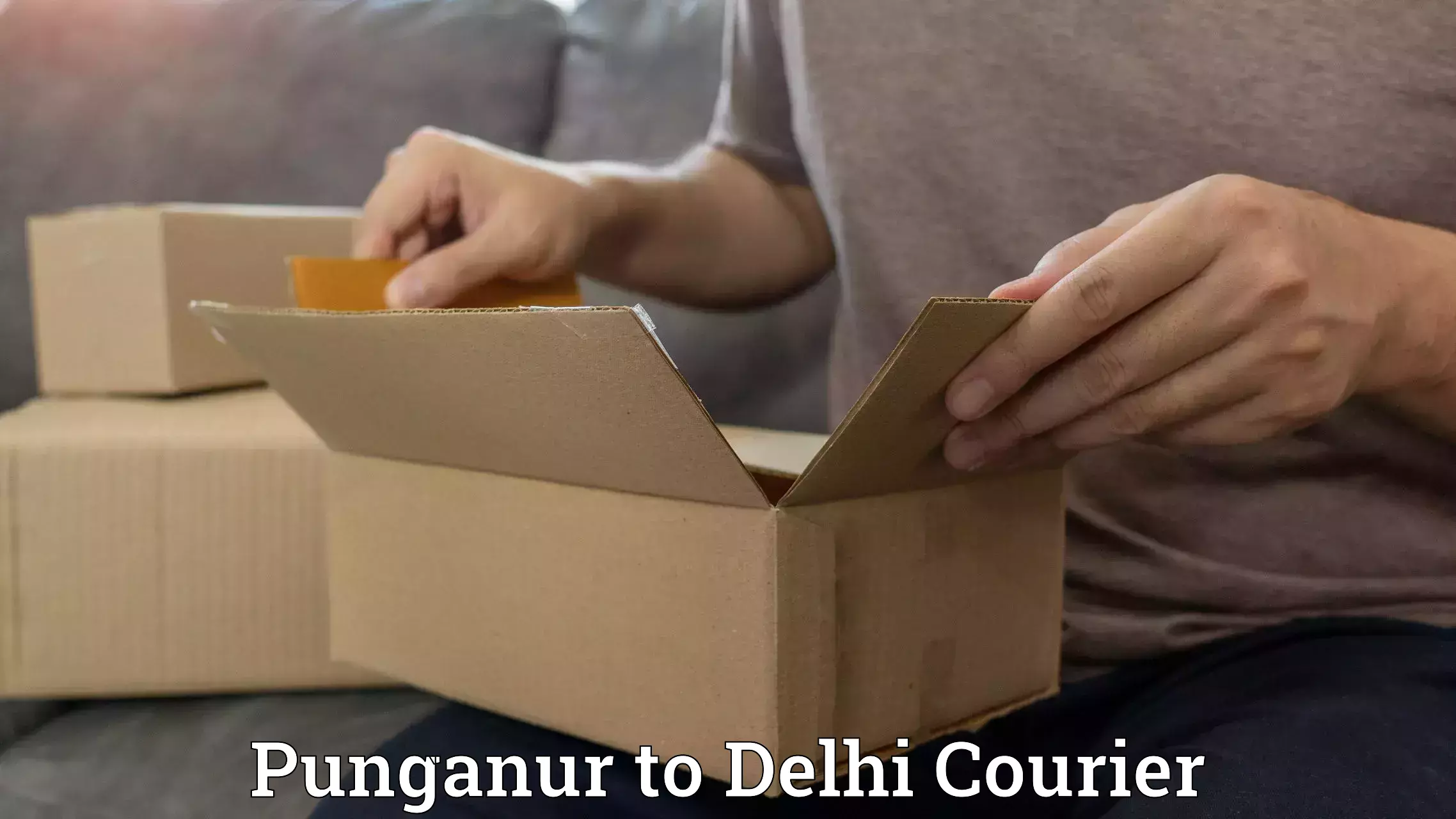 Smart parcel delivery Punganur to University of Delhi