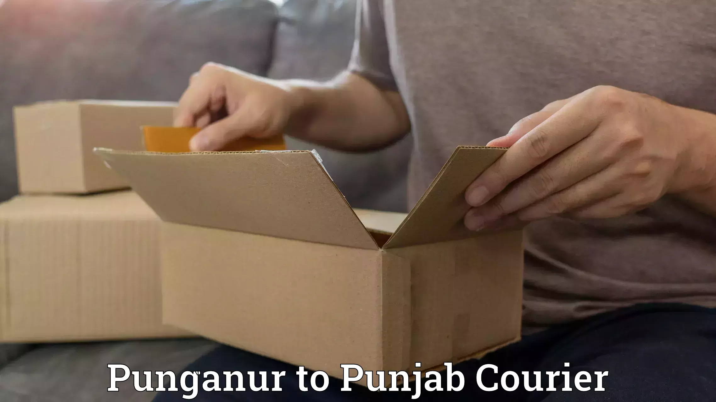 Package delivery network in Punganur to Kapurthala