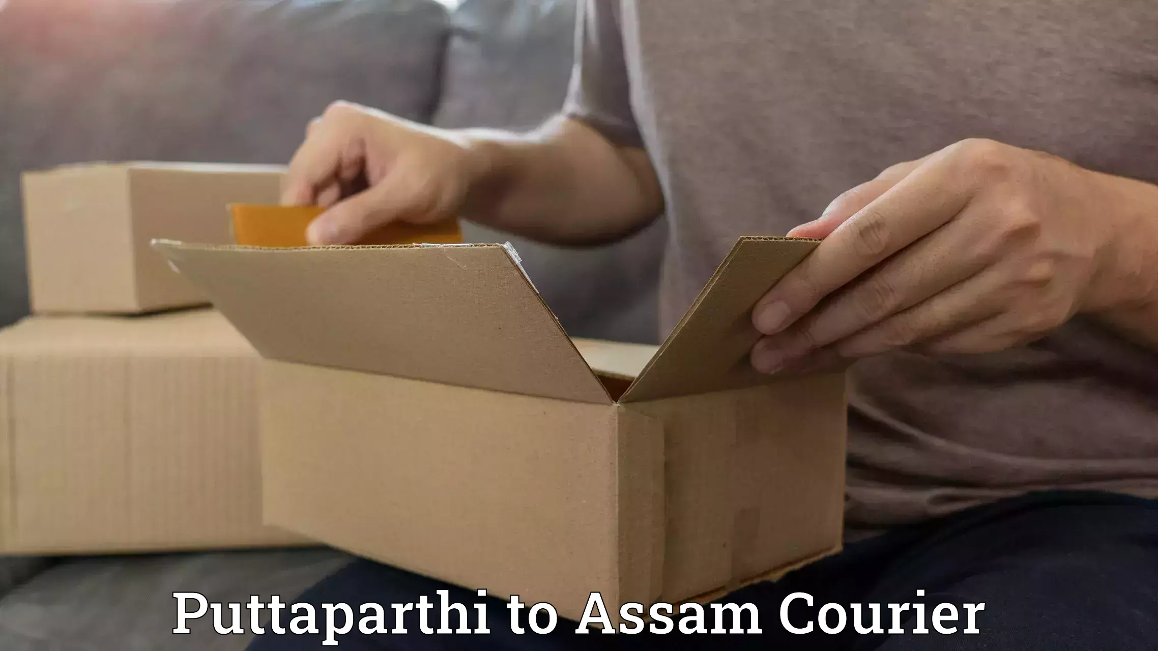 Versatile courier options Puttaparthi to Dhemaji