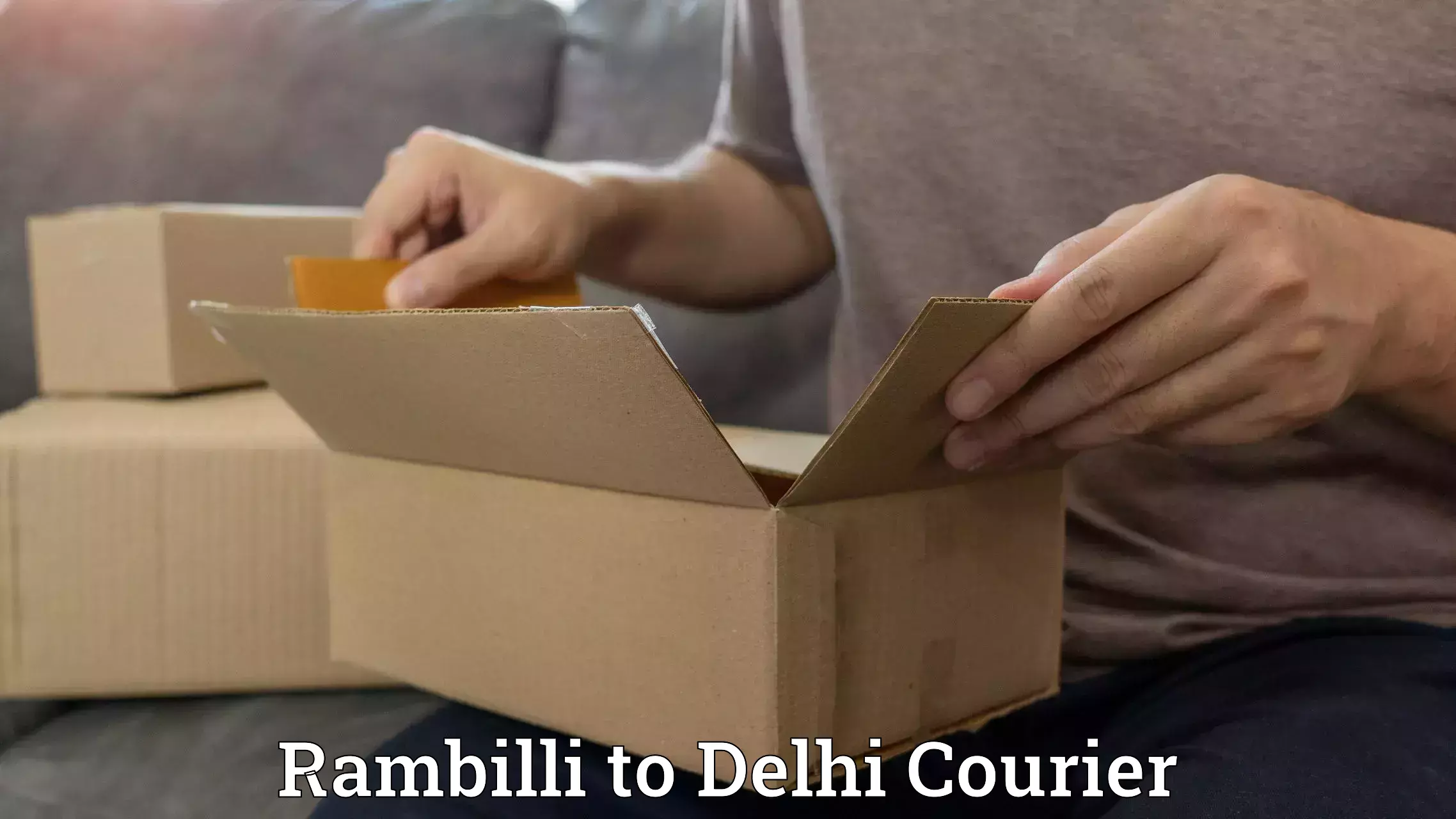 Affordable parcel service Rambilli to Delhi