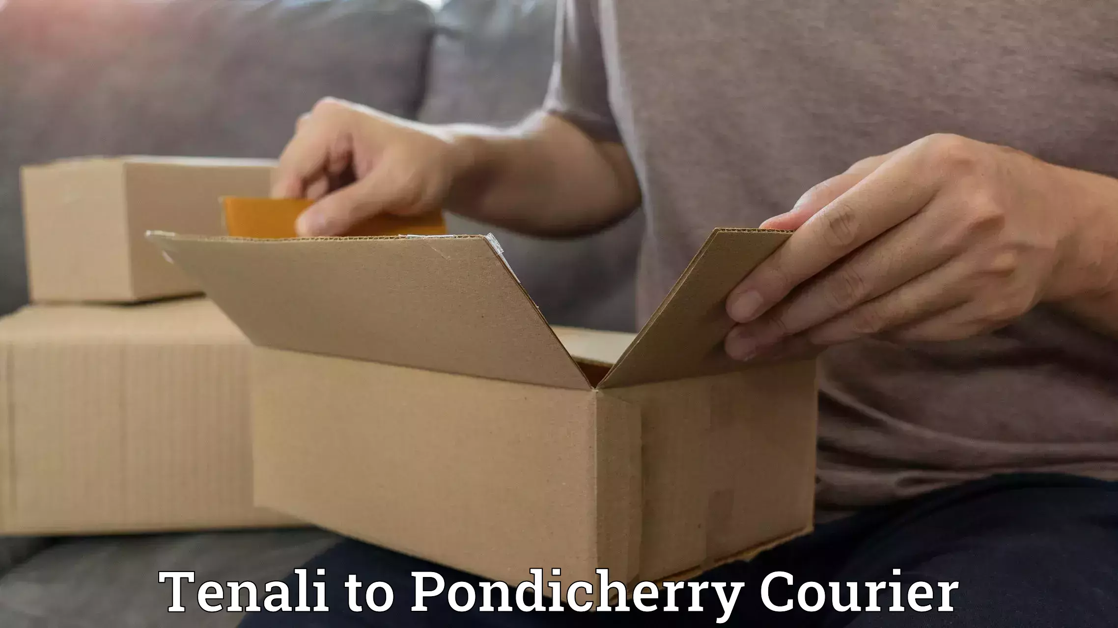 Business delivery service Tenali to Pondicherry University