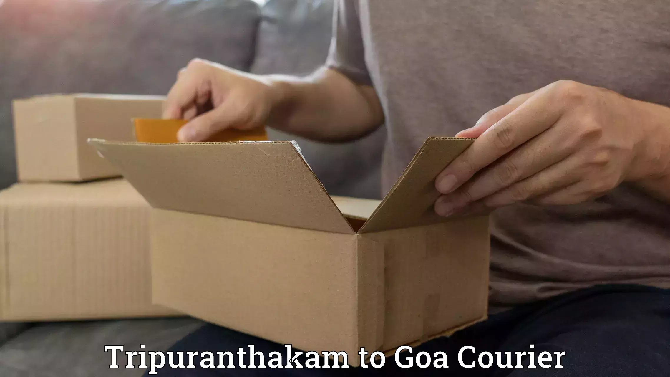 Multi-service courier options Tripuranthakam to Panaji