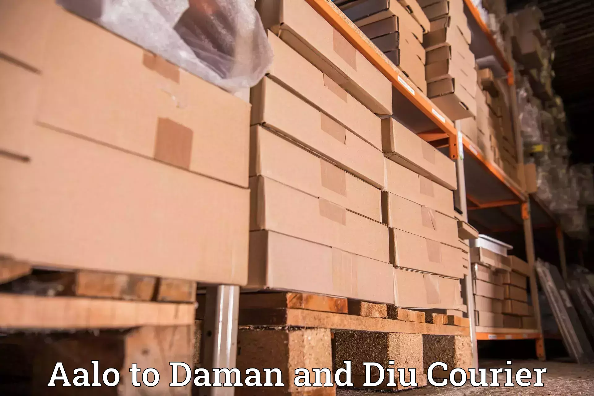 Ground shipping Aalo to Daman and Diu