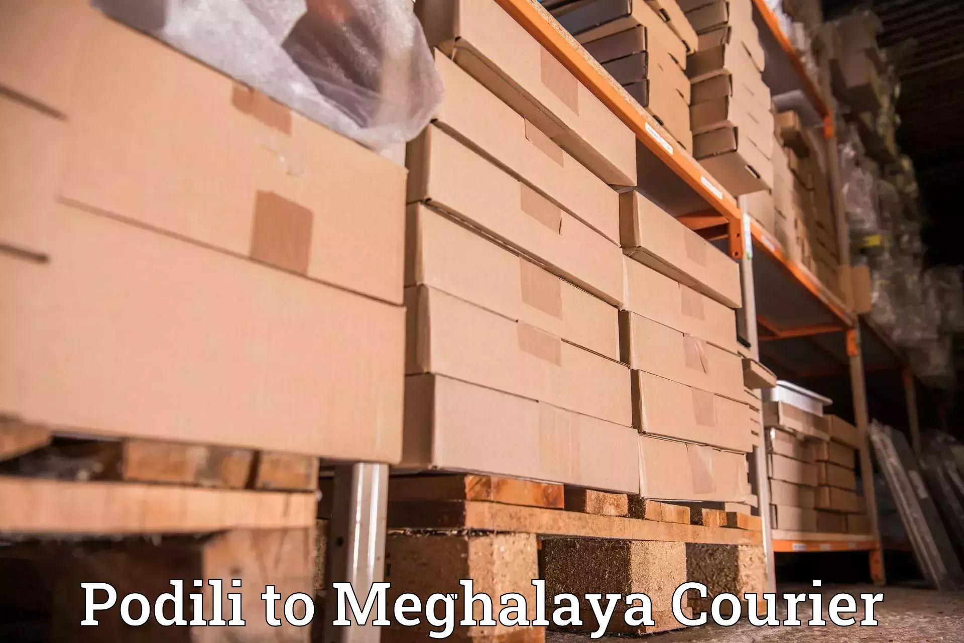 Flexible delivery schedules Podili to Meghalaya