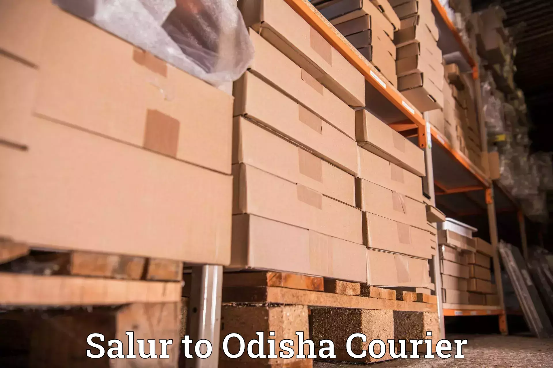 Door-to-door shipment Salur to Jashipur