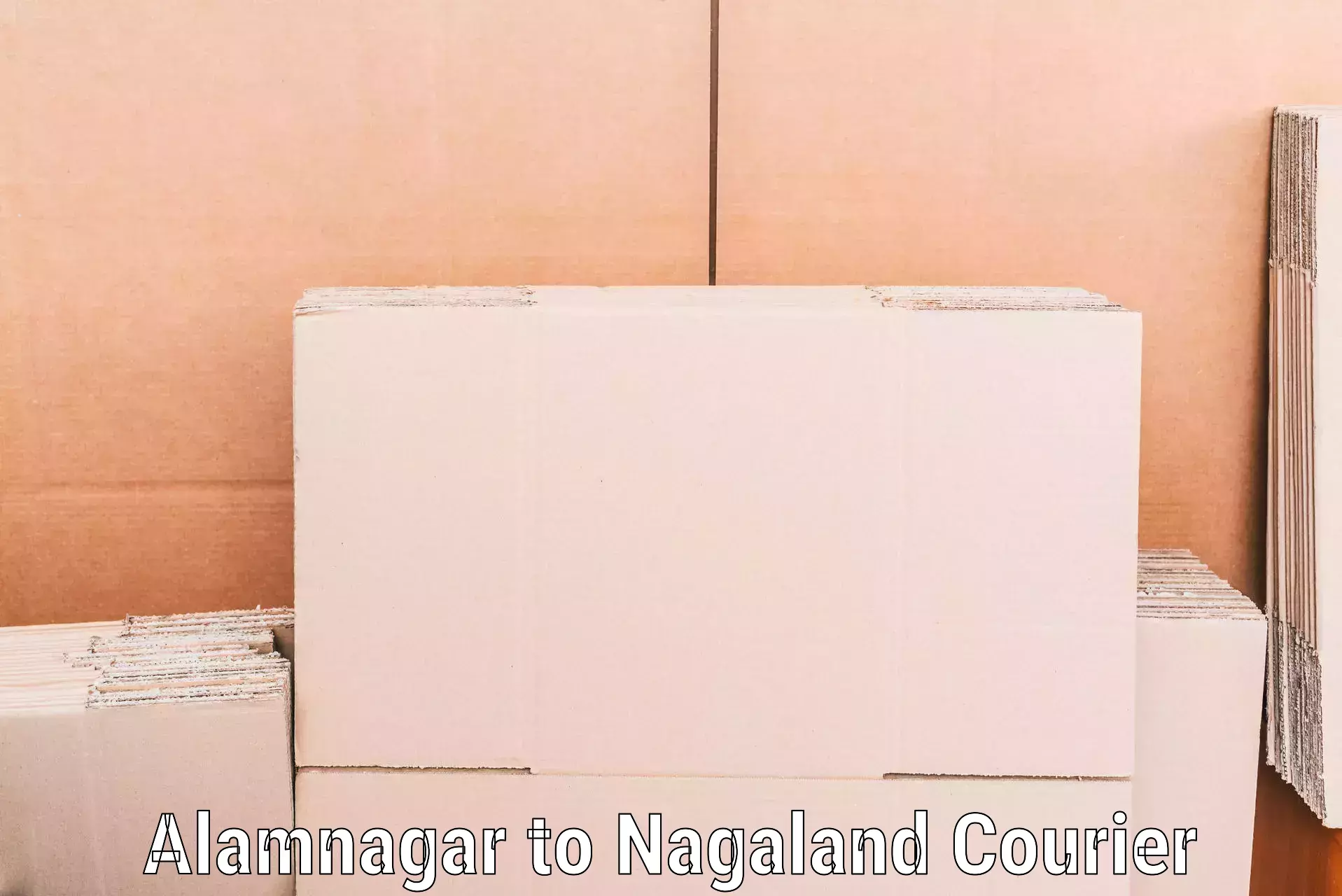 Comprehensive relocation services Alamnagar to Zunheboto