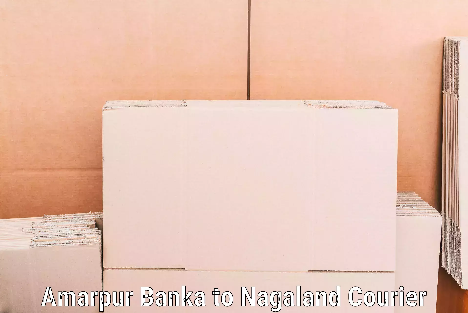 Affordable home movers Amarpur Banka to Chumukedima