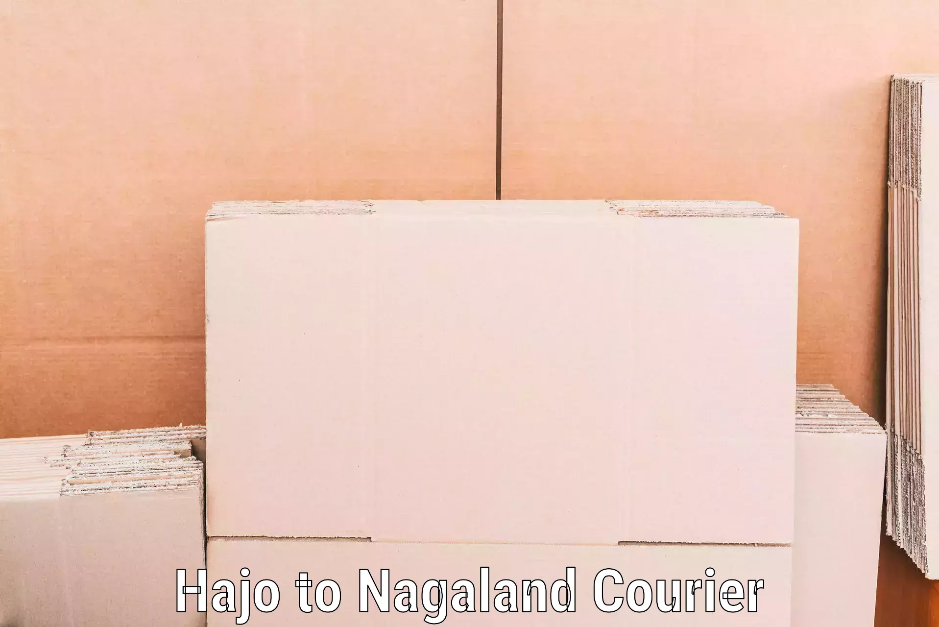 Advanced household moving services Hajo to NIT Nagaland