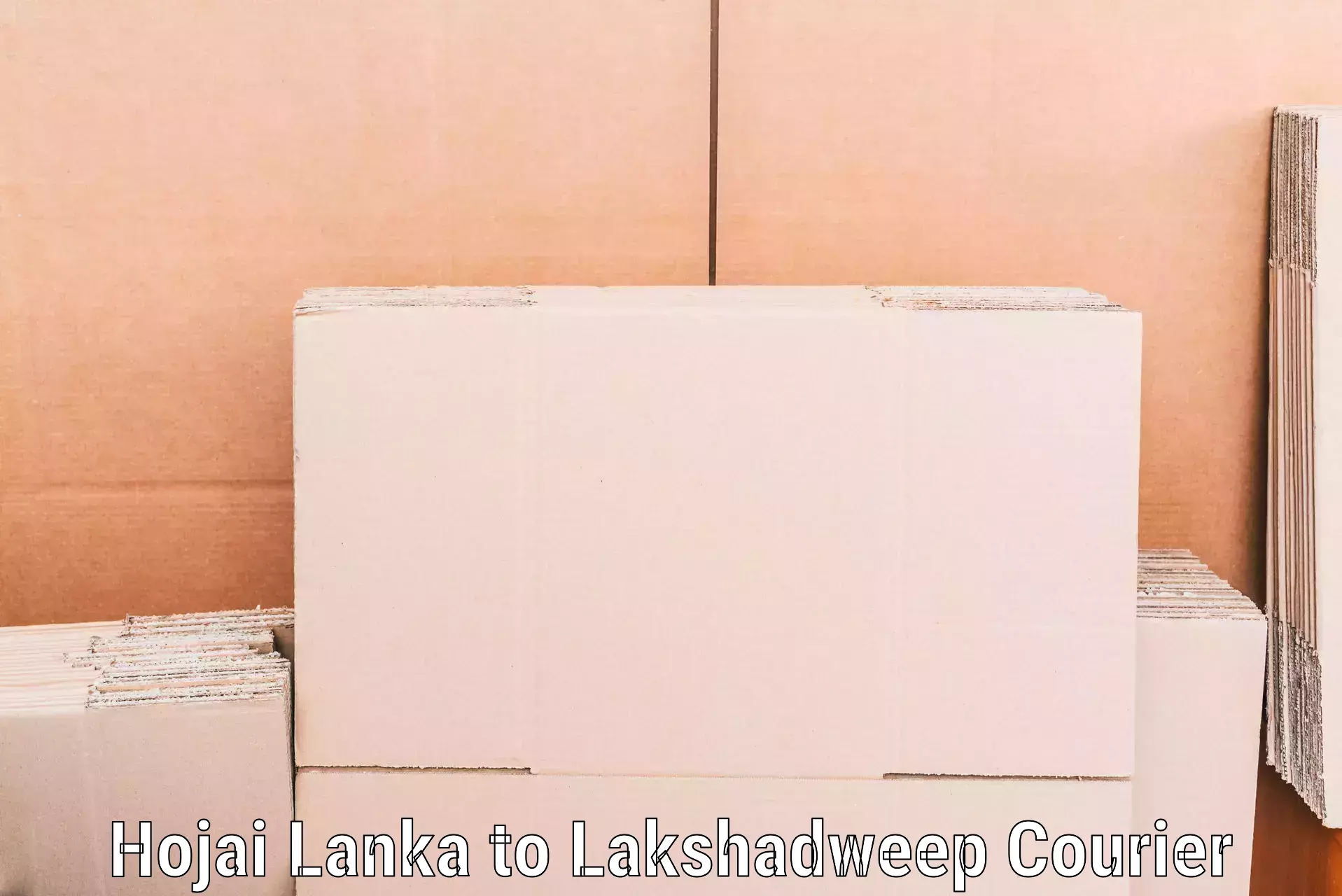 Furniture transport specialists Hojai Lanka to Lakshadweep