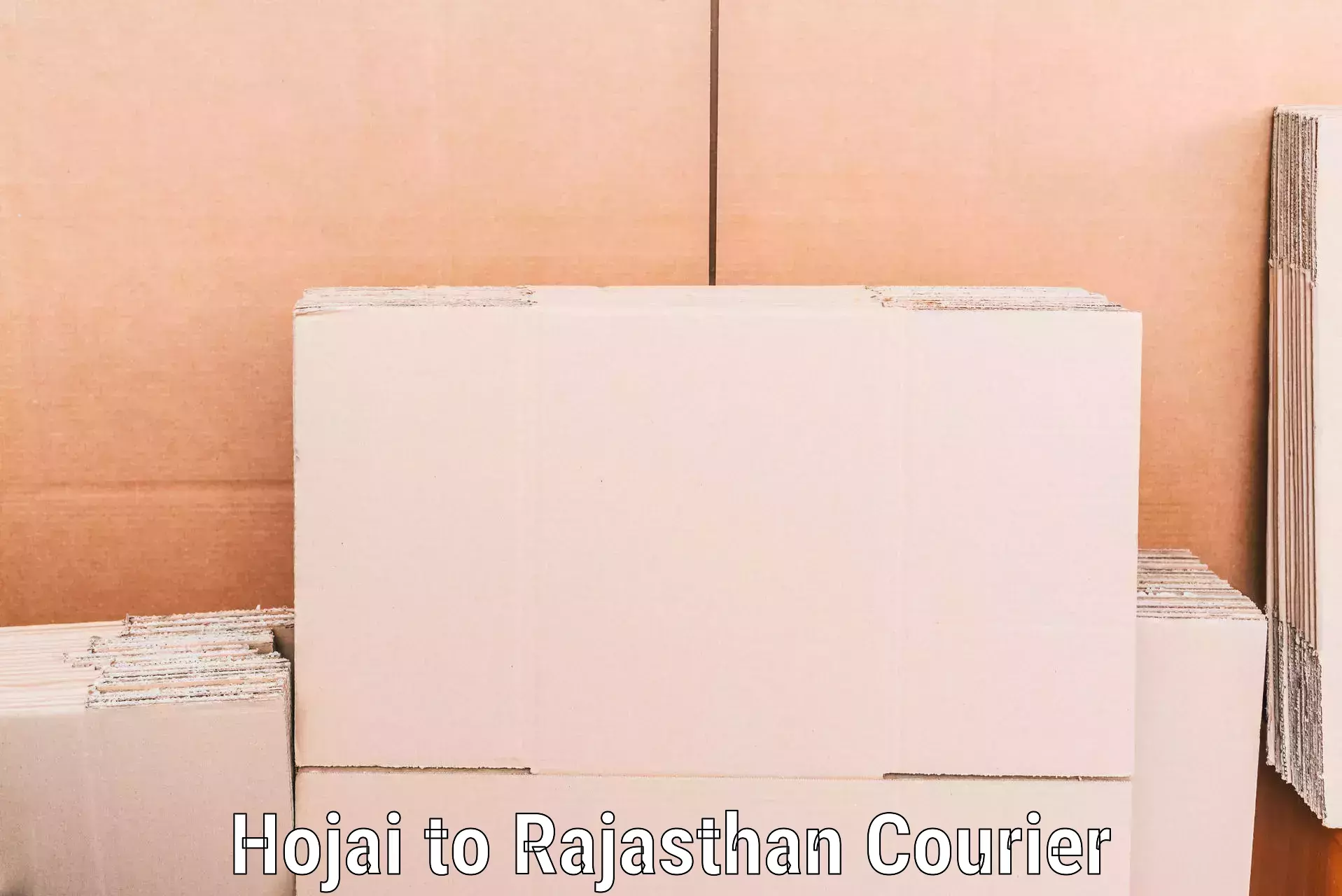 Affordable household movers Hojai to Bijainagar