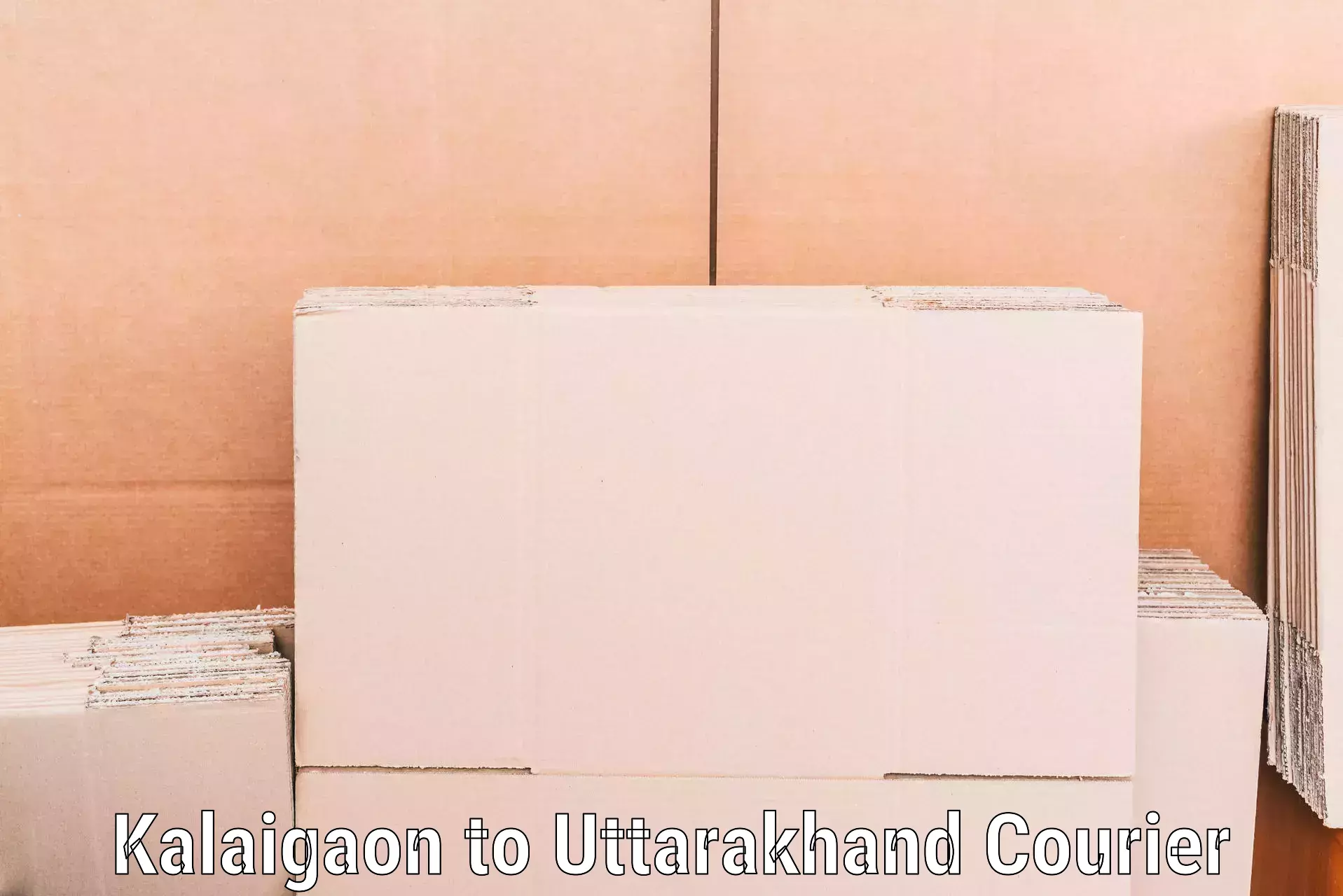 Quality furniture transport Kalaigaon to Haldwani