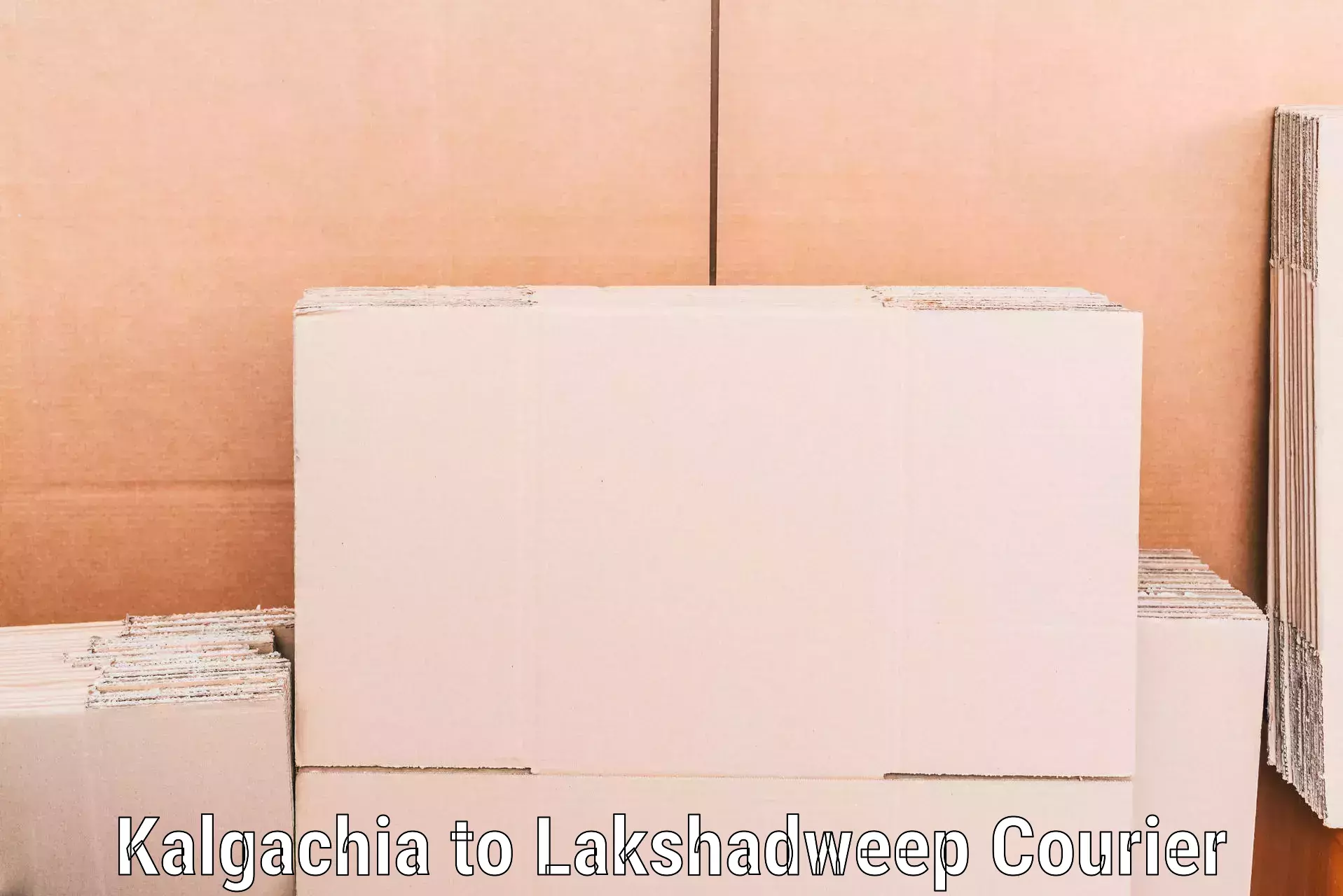 Household moving and handling Kalgachia to Lakshadweep