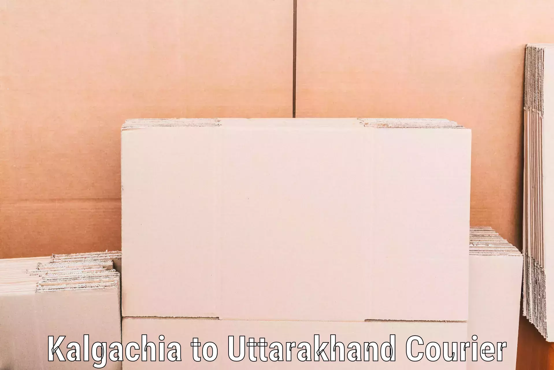 Professional home goods shifting in Kalgachia to Paithani