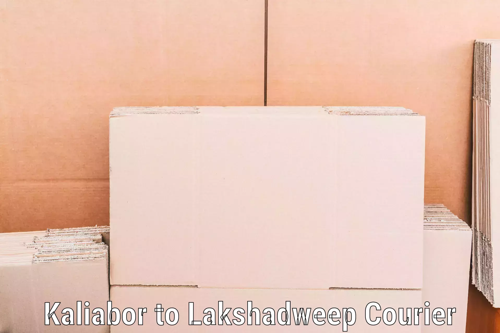 Expert moving solutions in Kaliabor to Lakshadweep