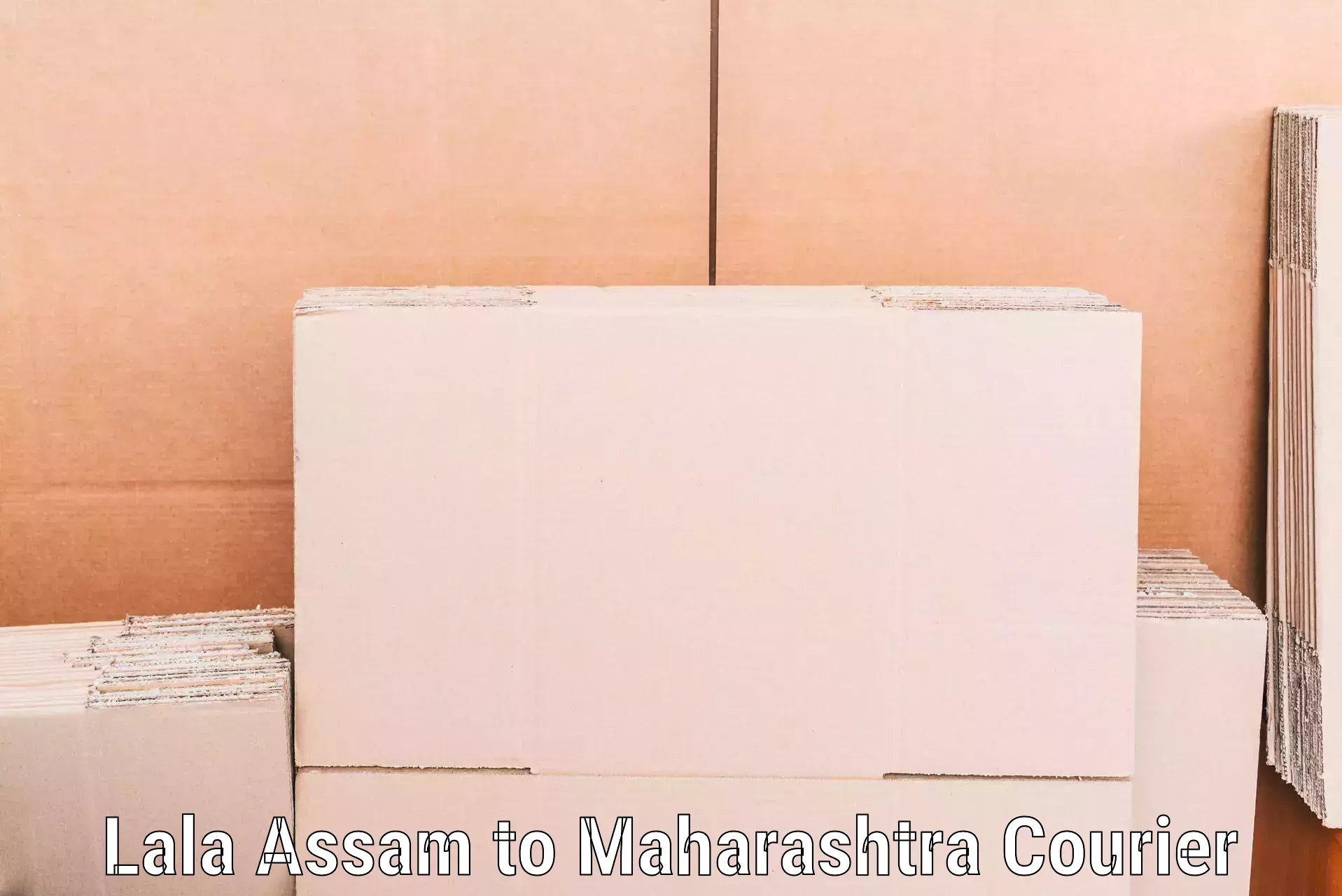 Furniture transport specialists Lala Assam to Manmad