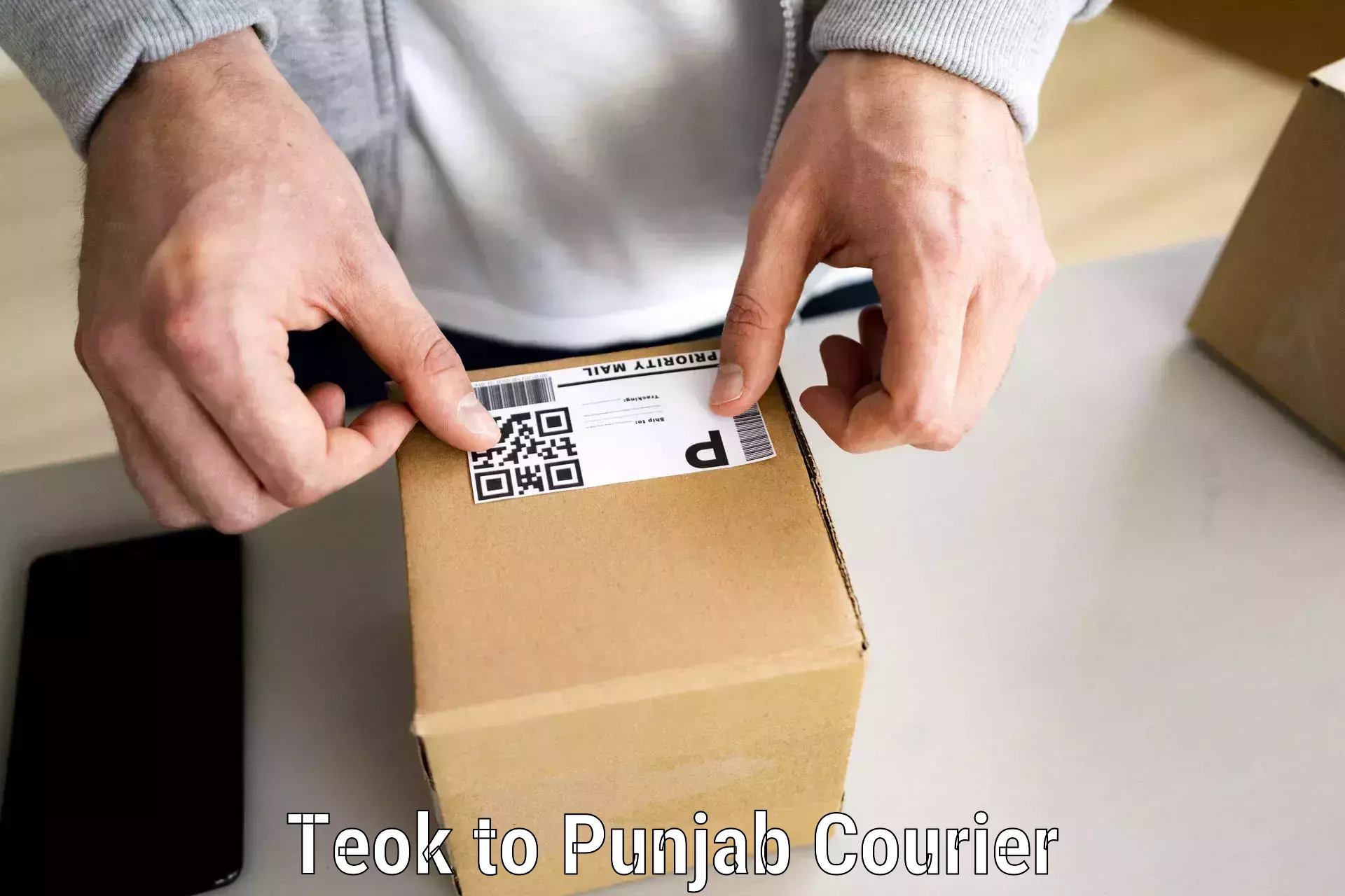Door-to-door relocation services Teok to Punjab