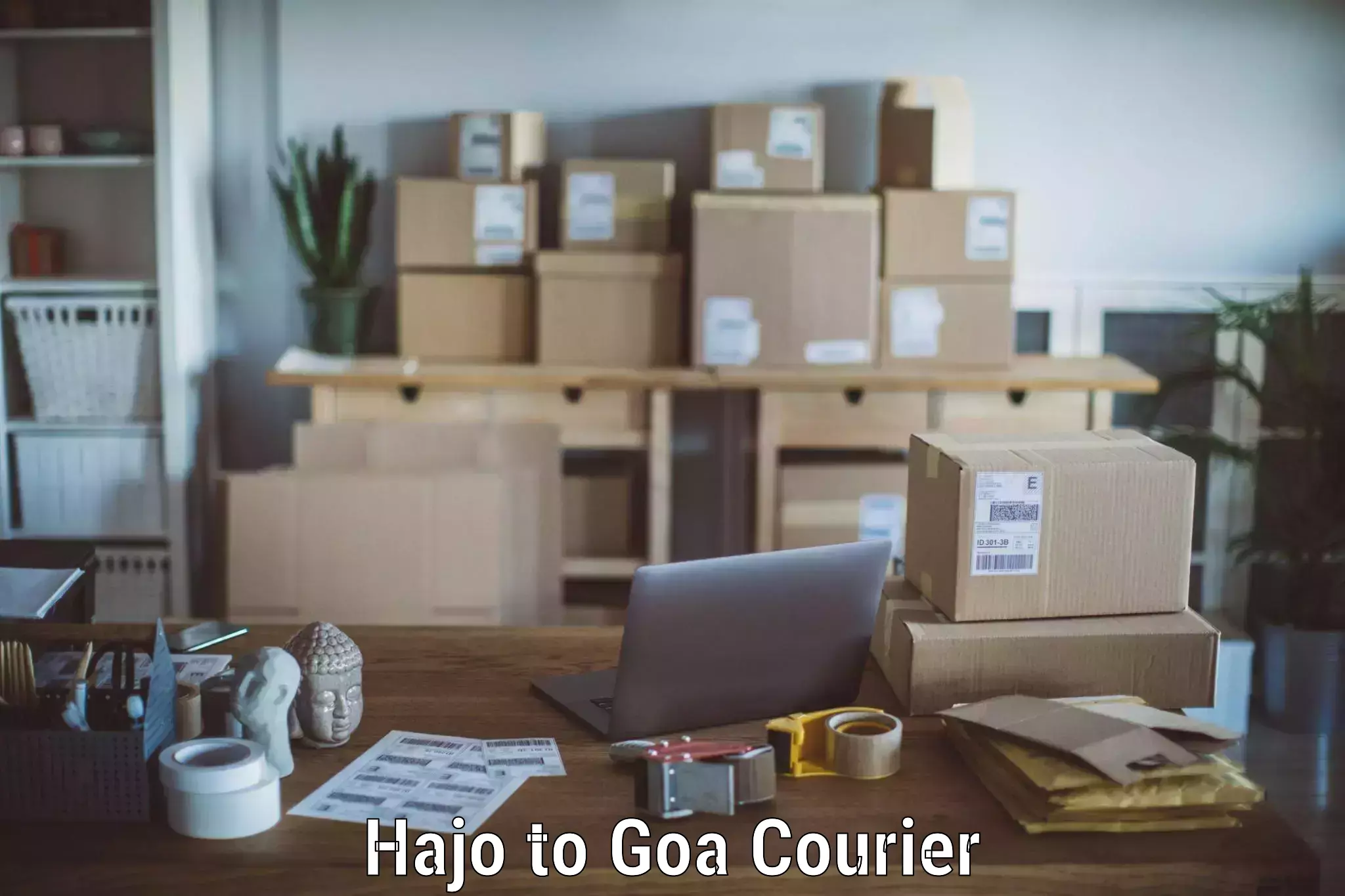 Professional furniture transport Hajo to NIT Goa